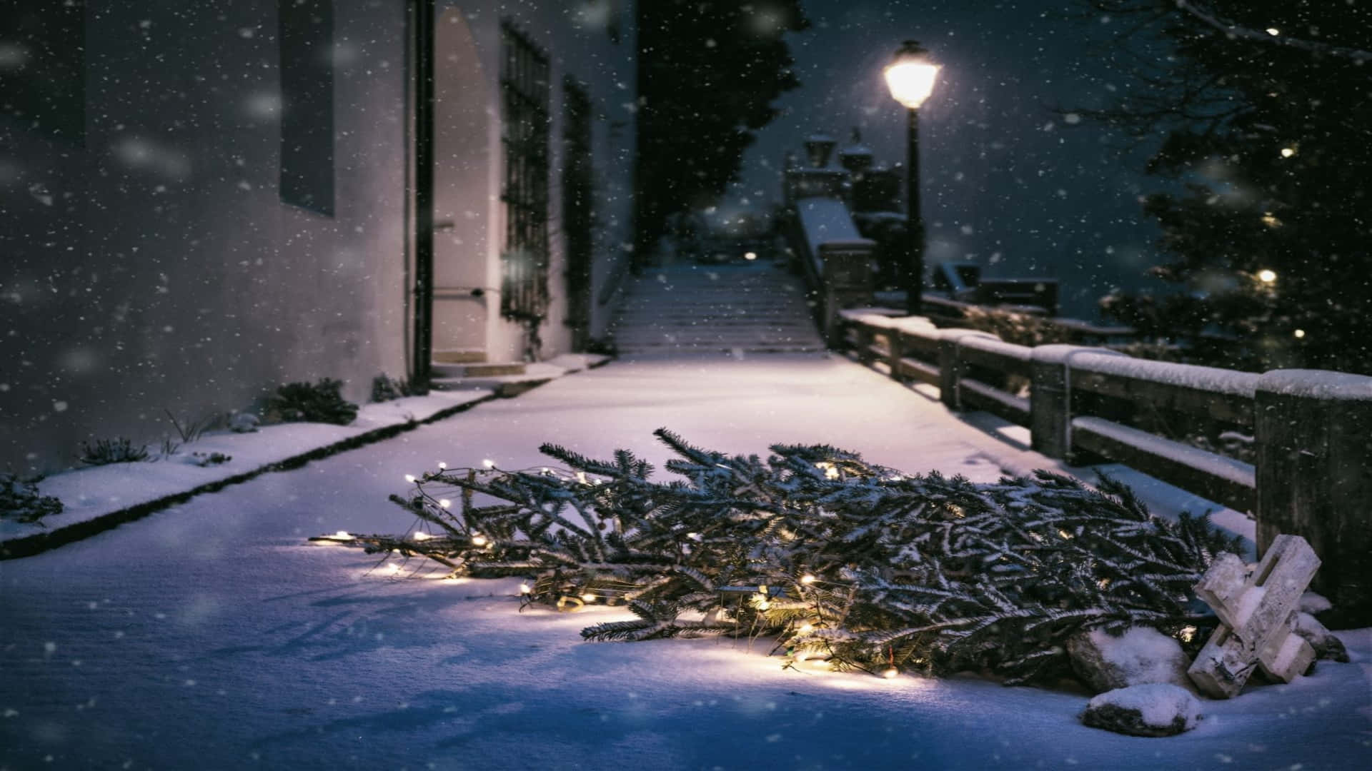 Holiday 桌布 壁紙 — 夜晚被雪覆蓋的小徑上，一棵被丟棄的聖誕樹在飄落的雪中閃爍著燈串的光芒。