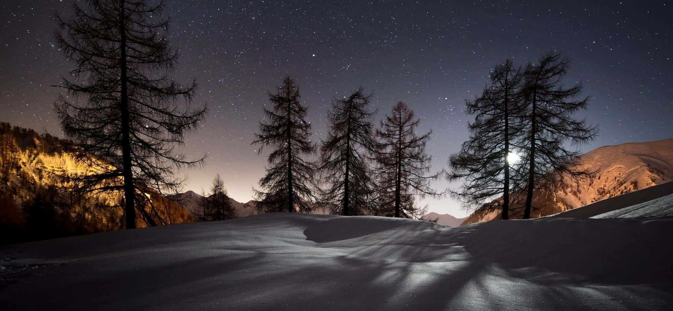 2340x1080 桌布 壁紙 — 夜晚被雪覆蓋的山脊，星空下樹木的剪影，明亮的月亮投下長長的影子。