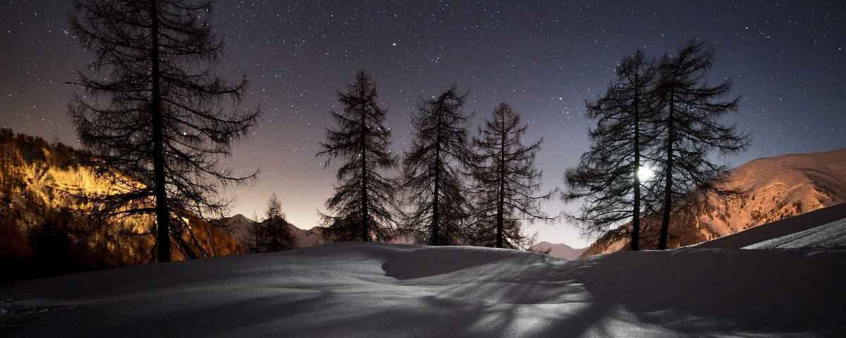 樹木 桌布 壁紙 — 夜晚被雪覆蓋的山脊，襯托著星空和發光的月光下的樹木剪影。