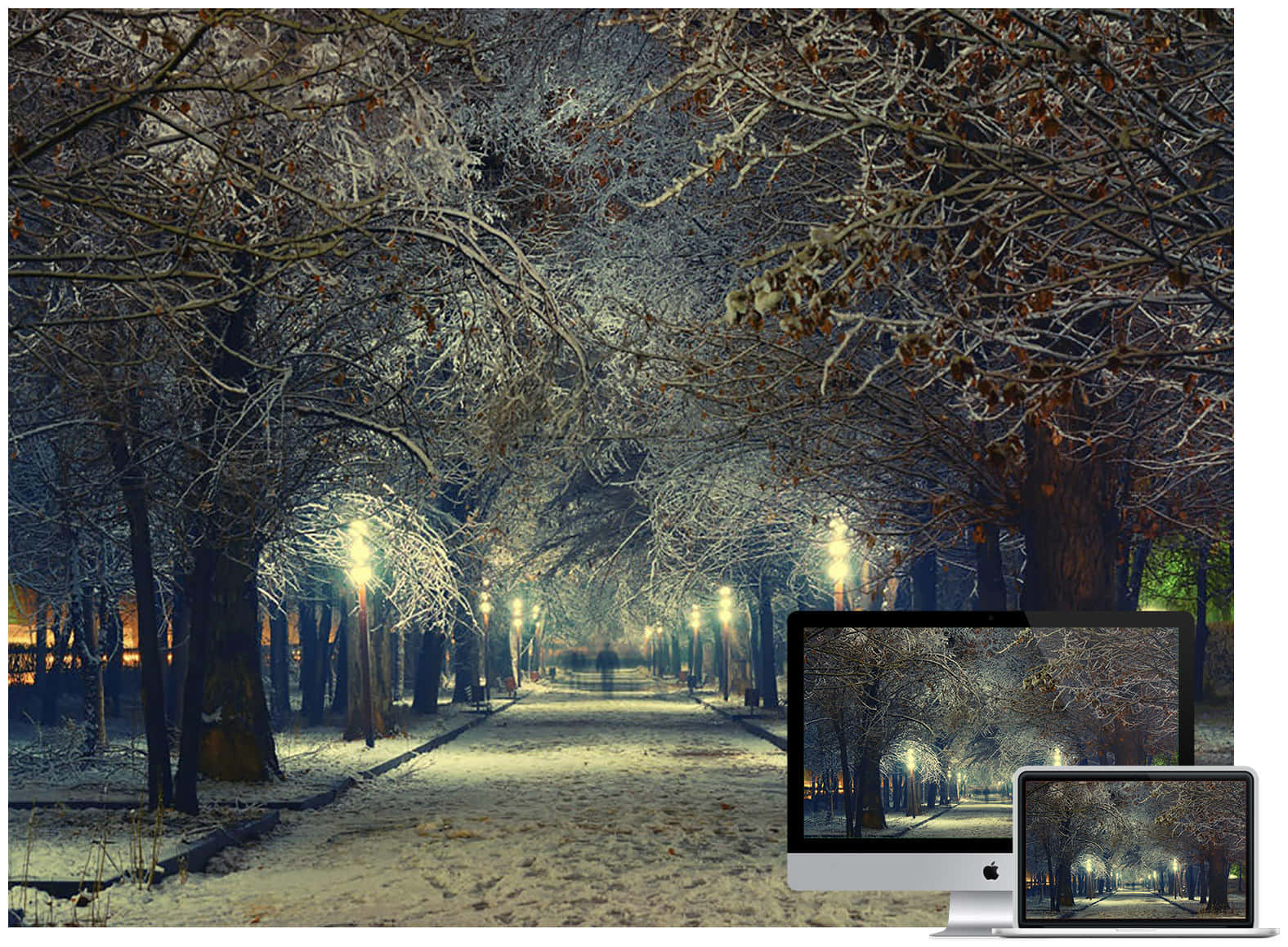 冬天 桌布 壁紙 — 夜晚被霜覆蓋的樹木下，溫暖街燈照亮積雪公園小徑。