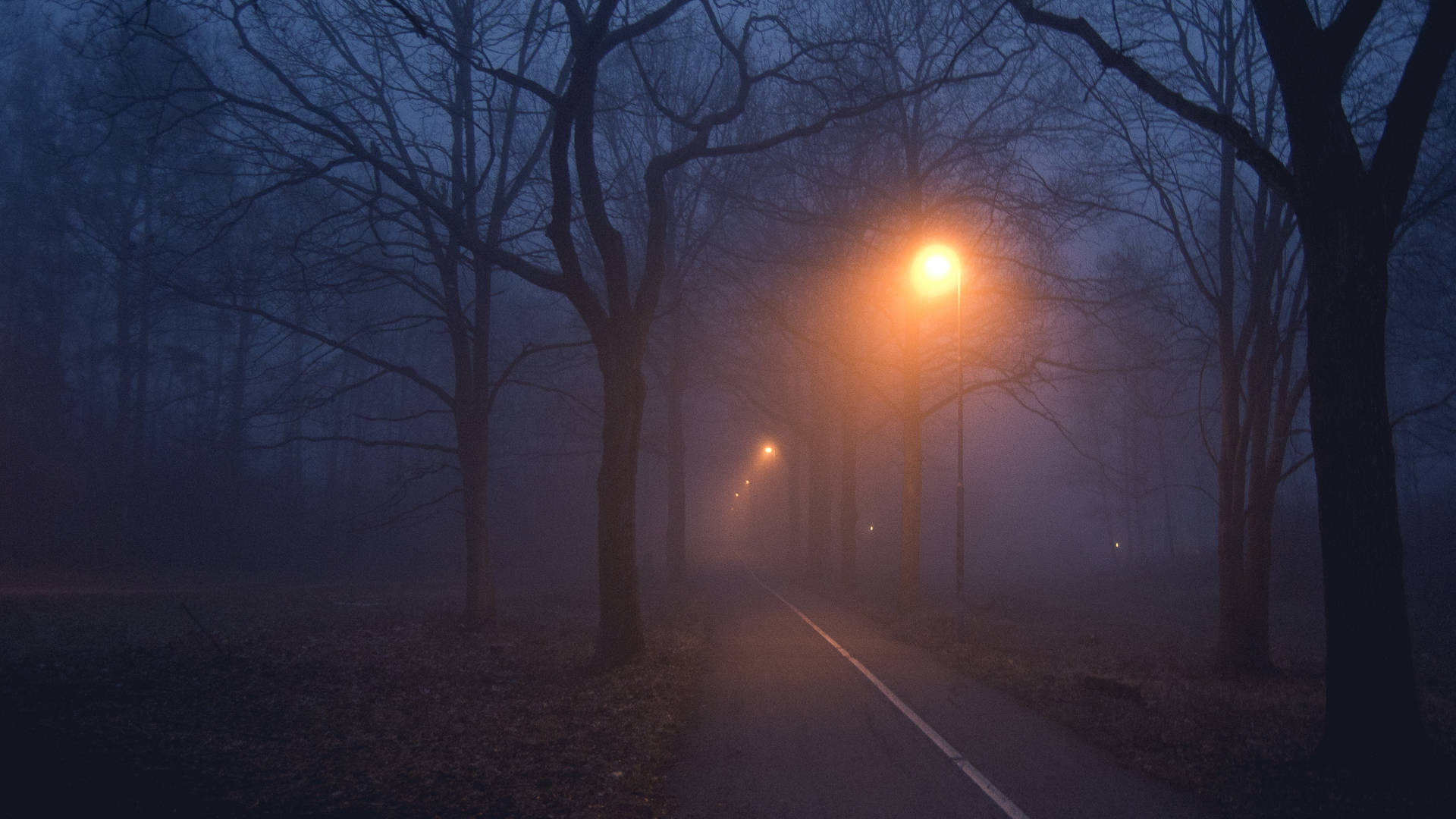 Foggy 桌布 壁紙 — 夜晚霧氣瀰漫的森林小徑，溫暖發光的街燈穿過光禿禿的樹木投下長長的影子。