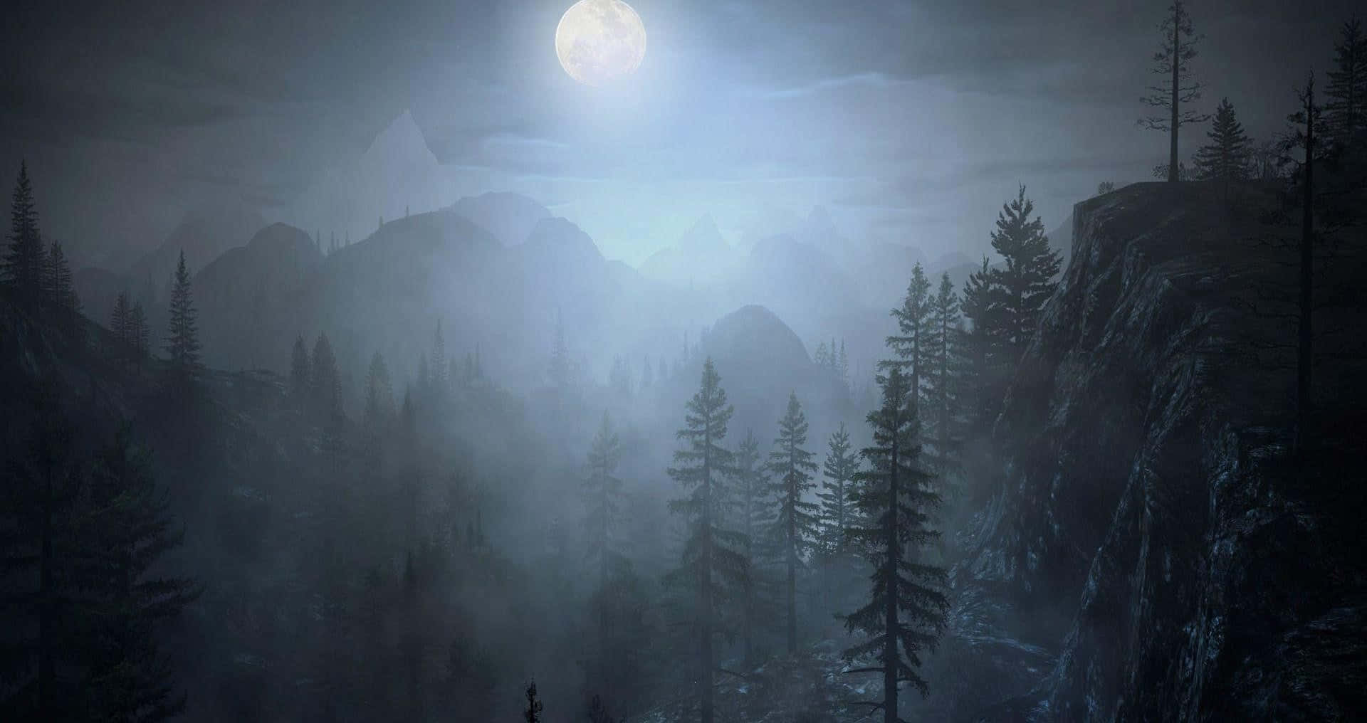 Night Forest 桌布 壁紙 — 夜晚霧氣籠罩的山谷，被一輪明亮的滿月照亮，透過松樹投下詭異的陰影。