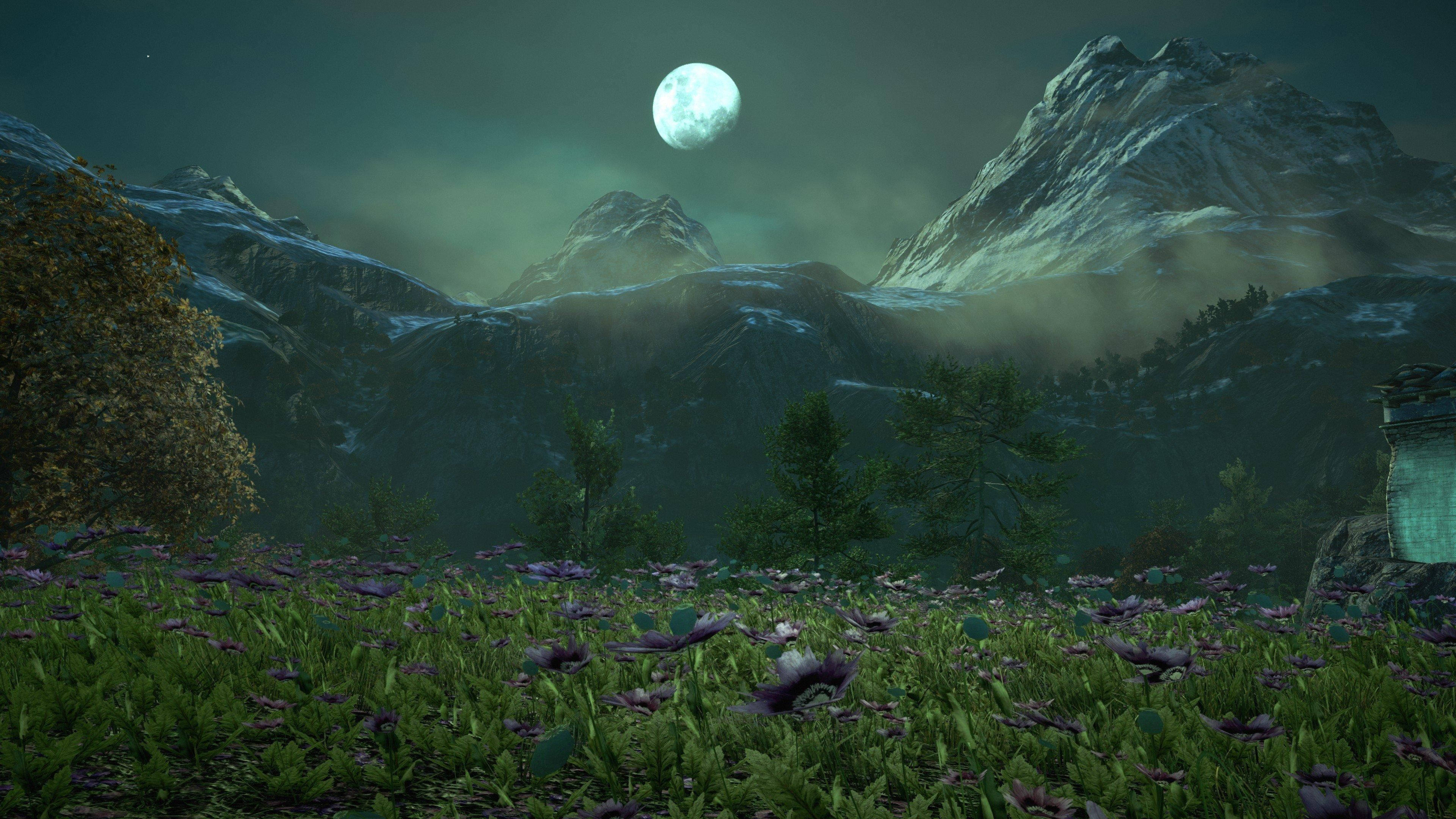 Far Cry 4 桌布 壁紙 — 夜晚霧氣繚繞的山谷，在發光的月亮下，前景有紫色花朵。