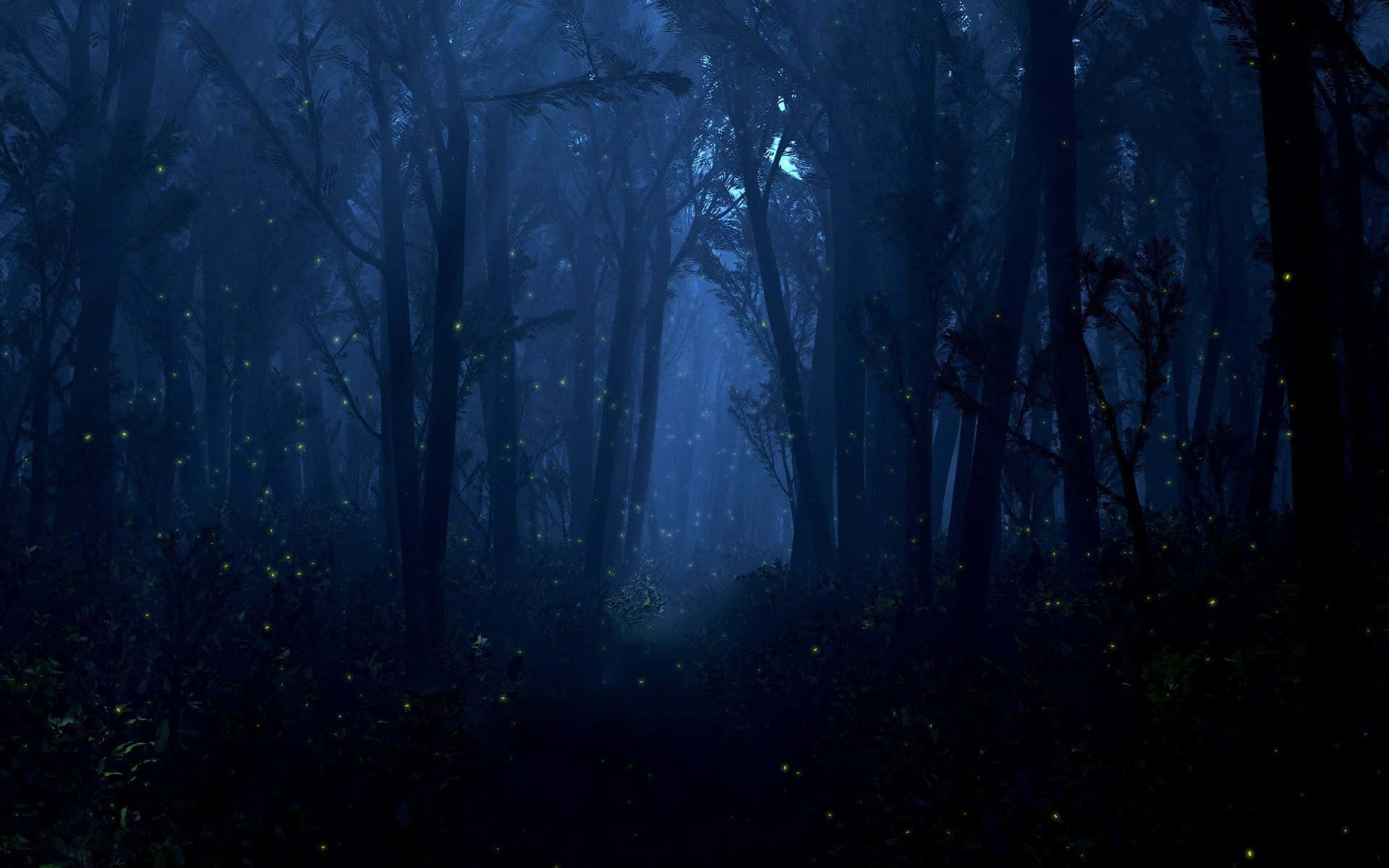Night Forest 桌布 壁紙 — 夜晚霧藍色的森林，螢火蟲在高大的暗樹間飄浮發光。