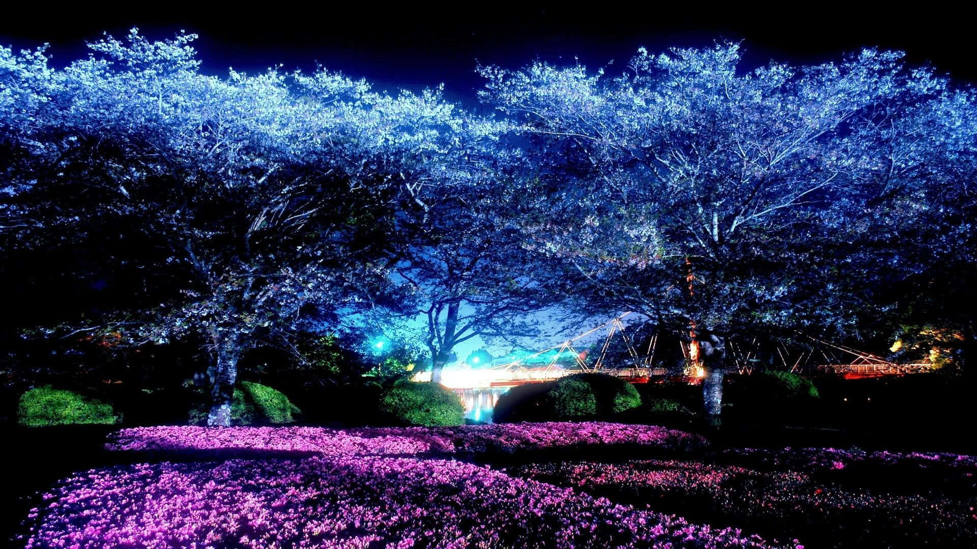 Cool Japanese Tree 桌布 壁紙 — 夜間花園，櫻花樹上藍色燈光，下方紫色發光花朵照亮。