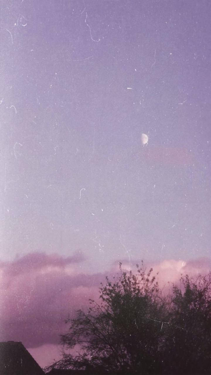 iPhone 桌布 壁紙 — 夢幻的暮色天空，新月和粉紫色雲朵在剪影般的樹木和屋頂上方。