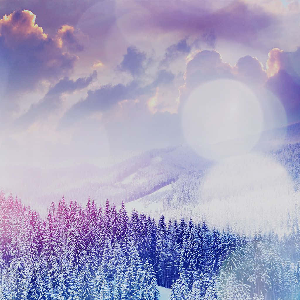 Cute Winter Aesthetic 桌布 壁紙 — 夢幻紫粉色的日落天空下，覆蓋著白雪的松樹林，帶有柔和鏡頭光暈。