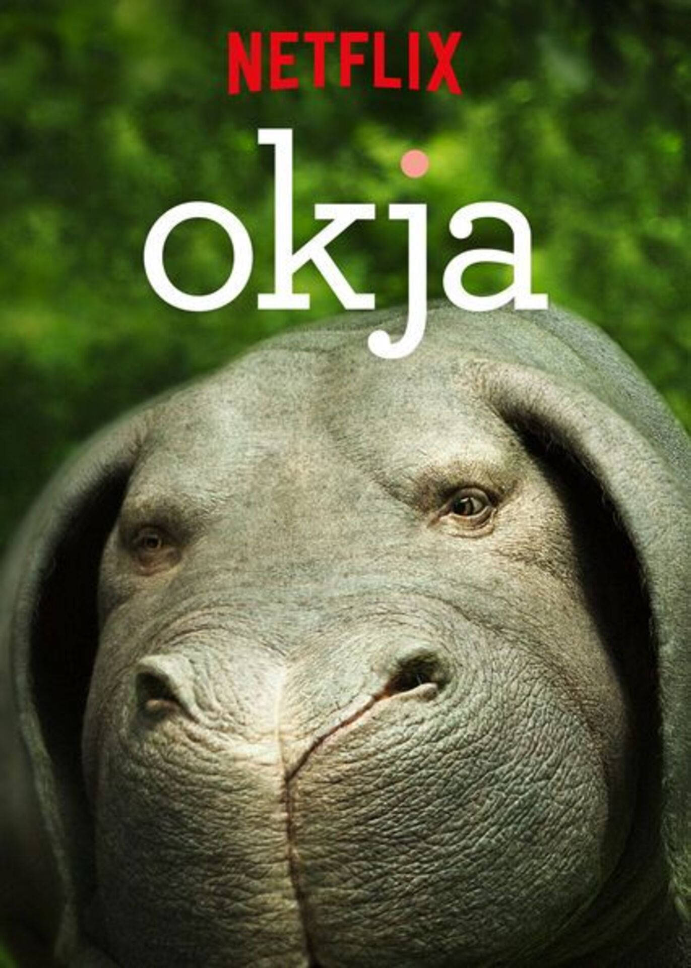 okja 桌布 壁紙 — 大型灰色生物的特寫，皮膚皺紋，眼神溫柔，背景模糊綠色。