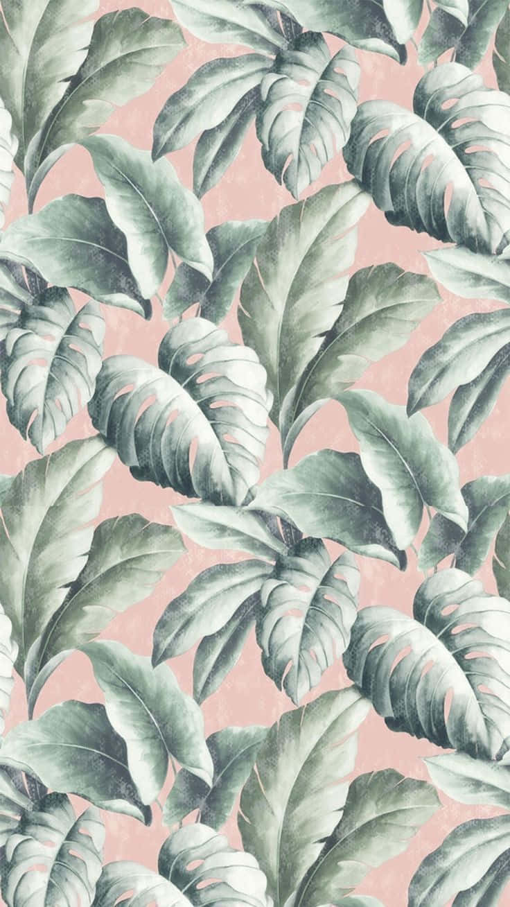 Tropical 桌布 壁紙 — 大型熱帶葉片以柔和綠色調漂浮在柔軟粉紅色紋理背景上，形成重複圖案。