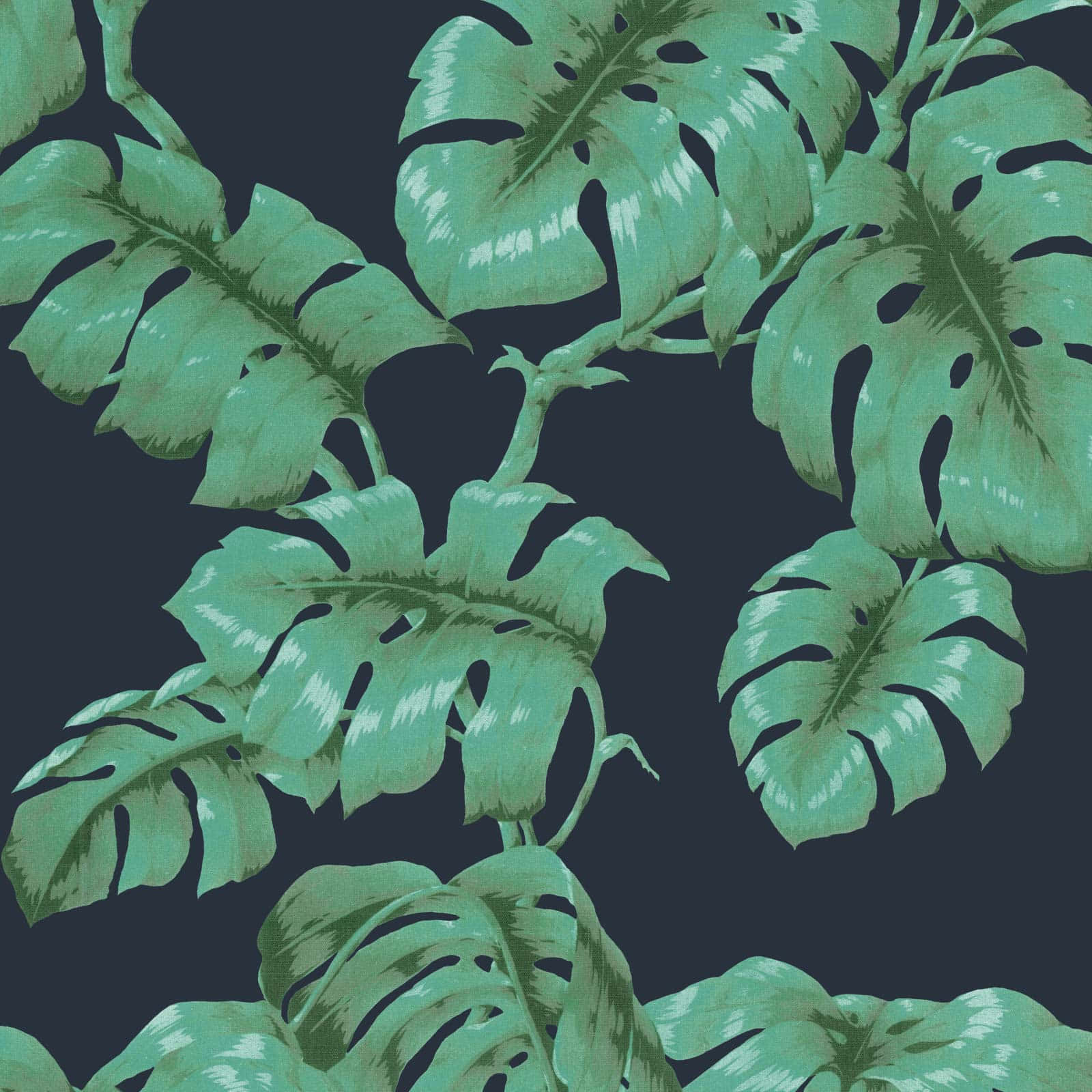 龜背芋 桌布 壁紙 — 大型熱帶龜背竹葉，以青綠色搭配白色高光，在深海軍藍背景上形成對比。