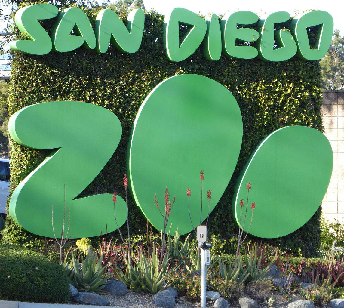 Signs 桌布 壁紙 — 大型綠色3D字母拼出SAN DIEGO ZOO，從茂密的樹籬中升起，下方有沙漠植物和岩石。