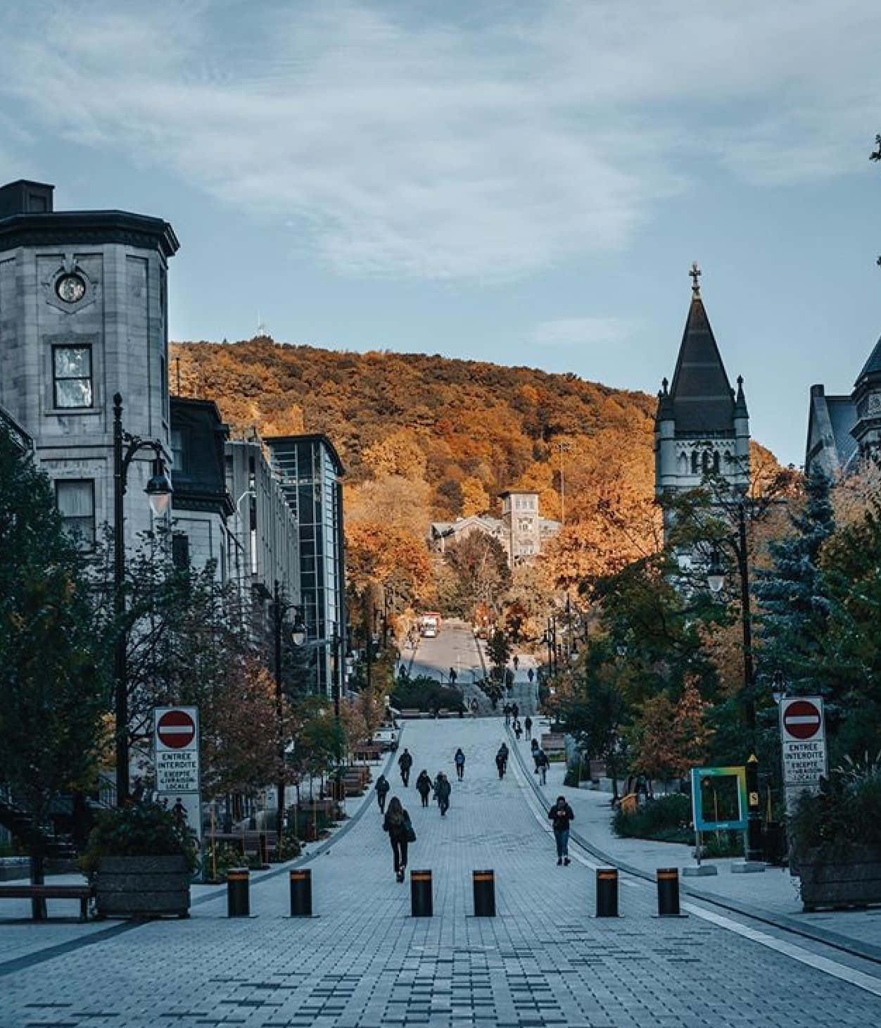 大學背景 壁紙