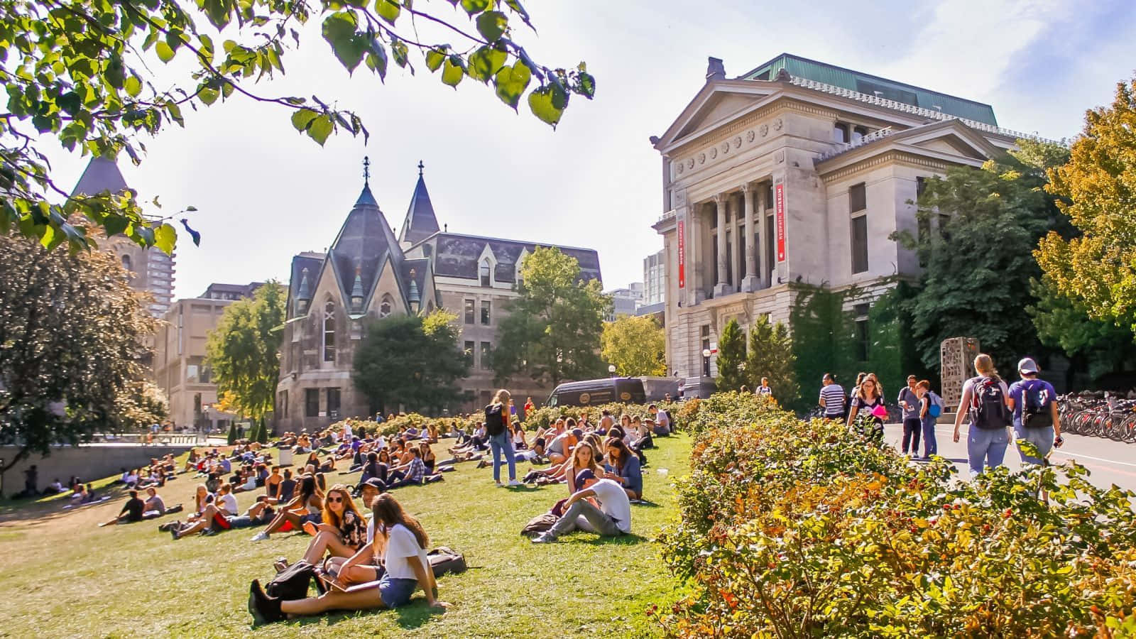 大學背景 壁紙
