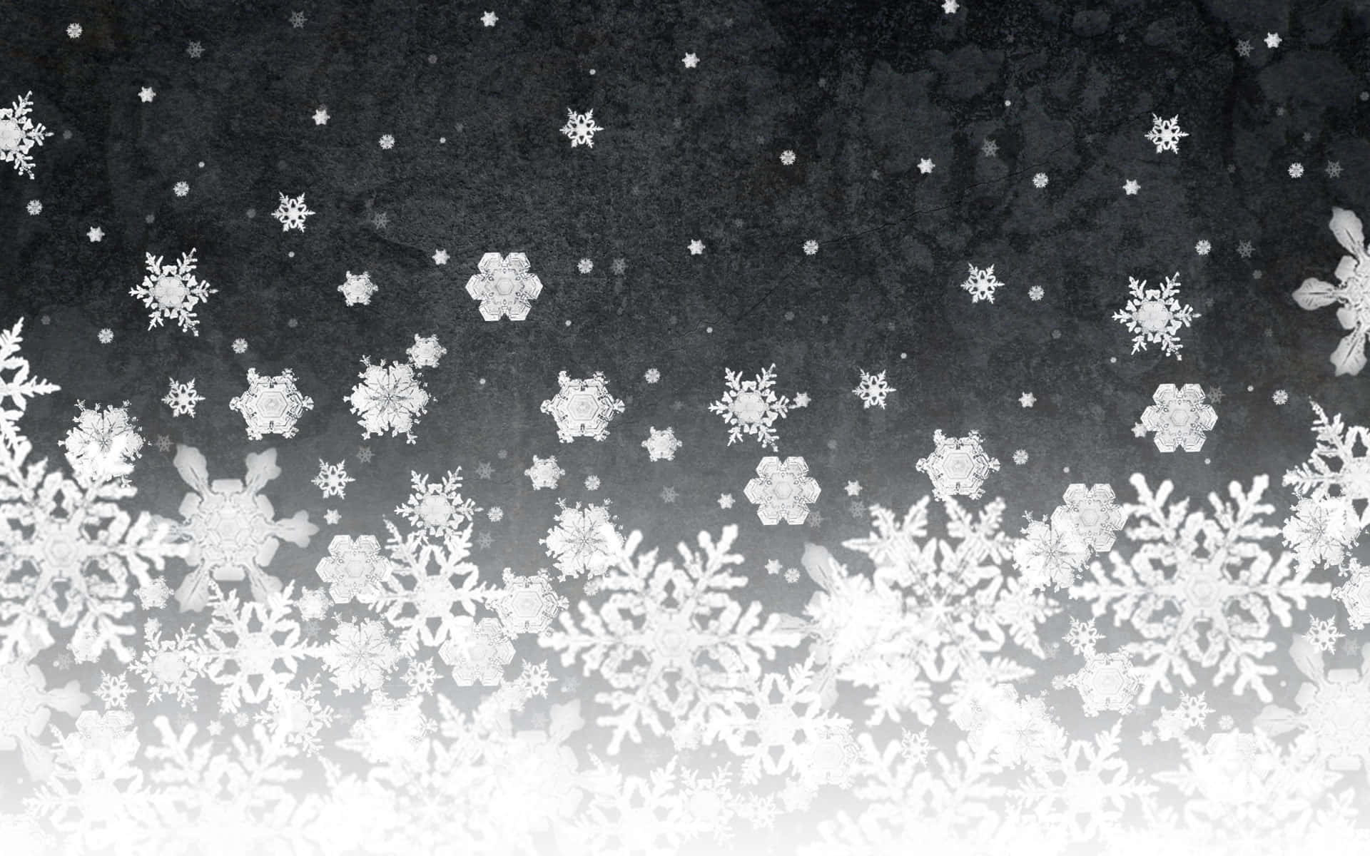 雪花 桌布 壁紙 — 大小不一的雪花在深色紋理背景上飄落，底部漸變為亮白色。