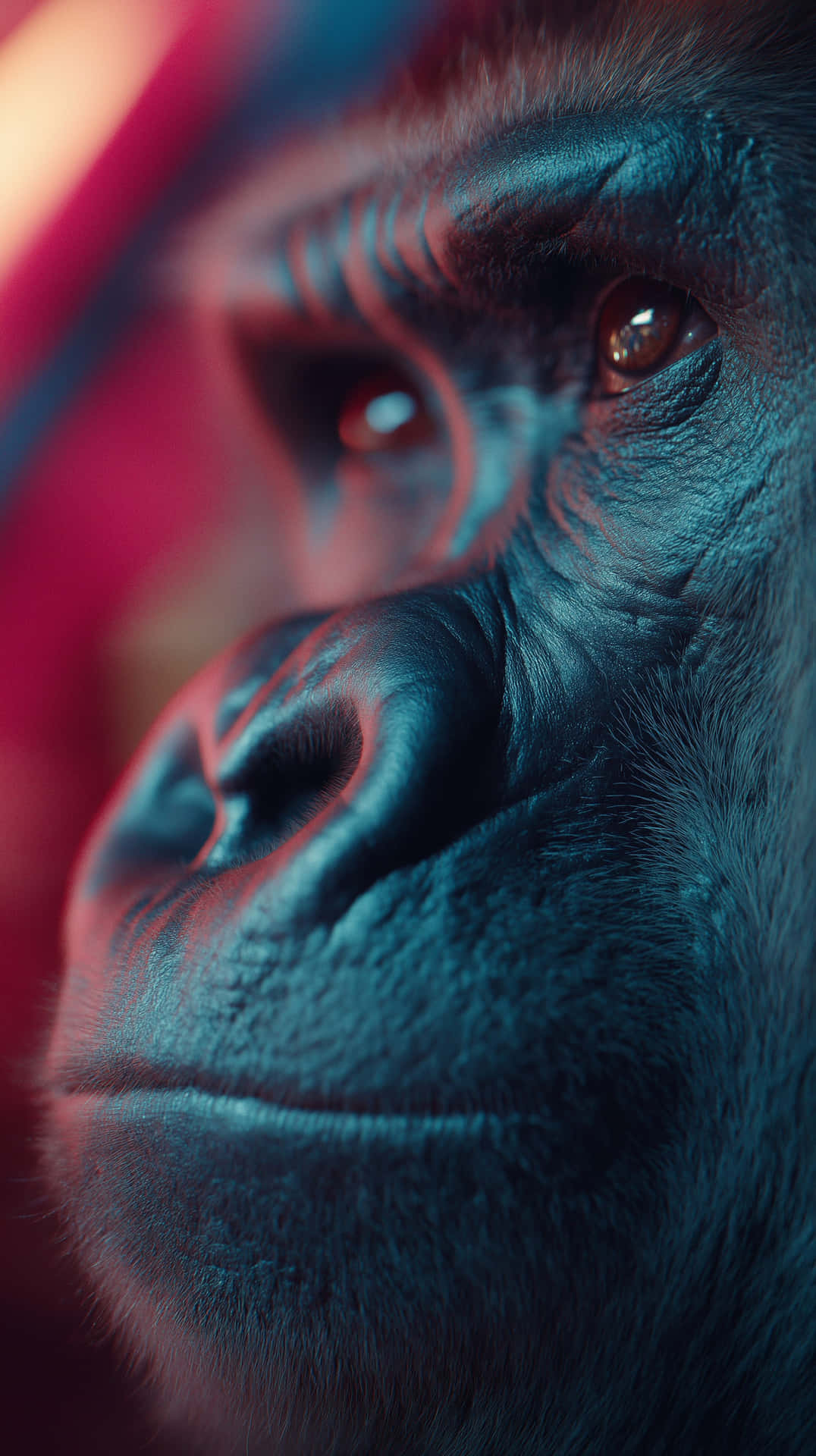 Neon Primate 壁紙 — 大猩猩臉部特寫，沐浴在戲劇性的藍色和紅色霓虹燈光中，突顯其紋理皮毛和強烈的目光。