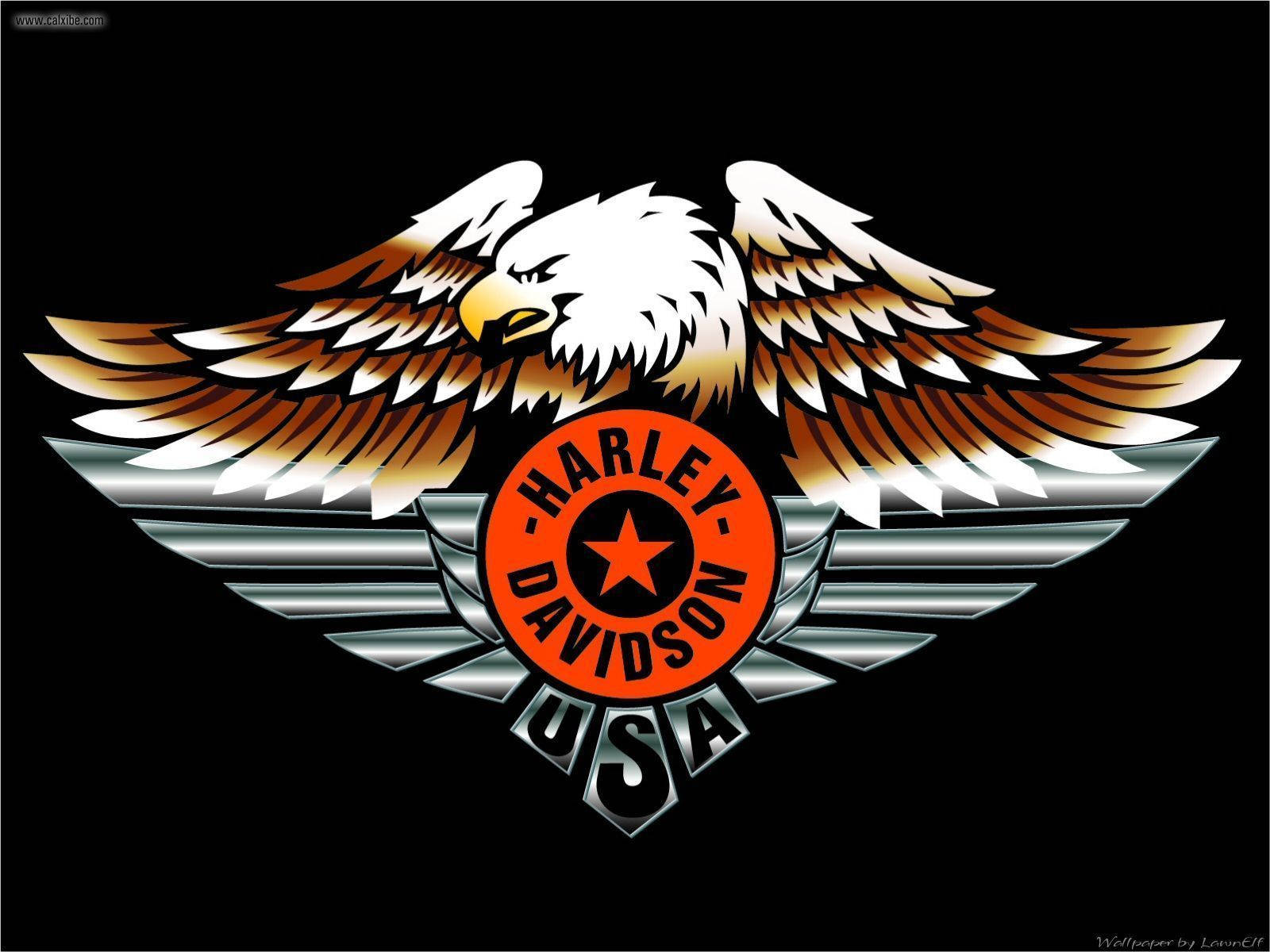 Harley 桌布 壁紙 — 大膽的哈雷戴維森標誌，在黑色背景上，一隻雄偉的鷹展開翅膀，位於鍍鉻翼形徽章之上。