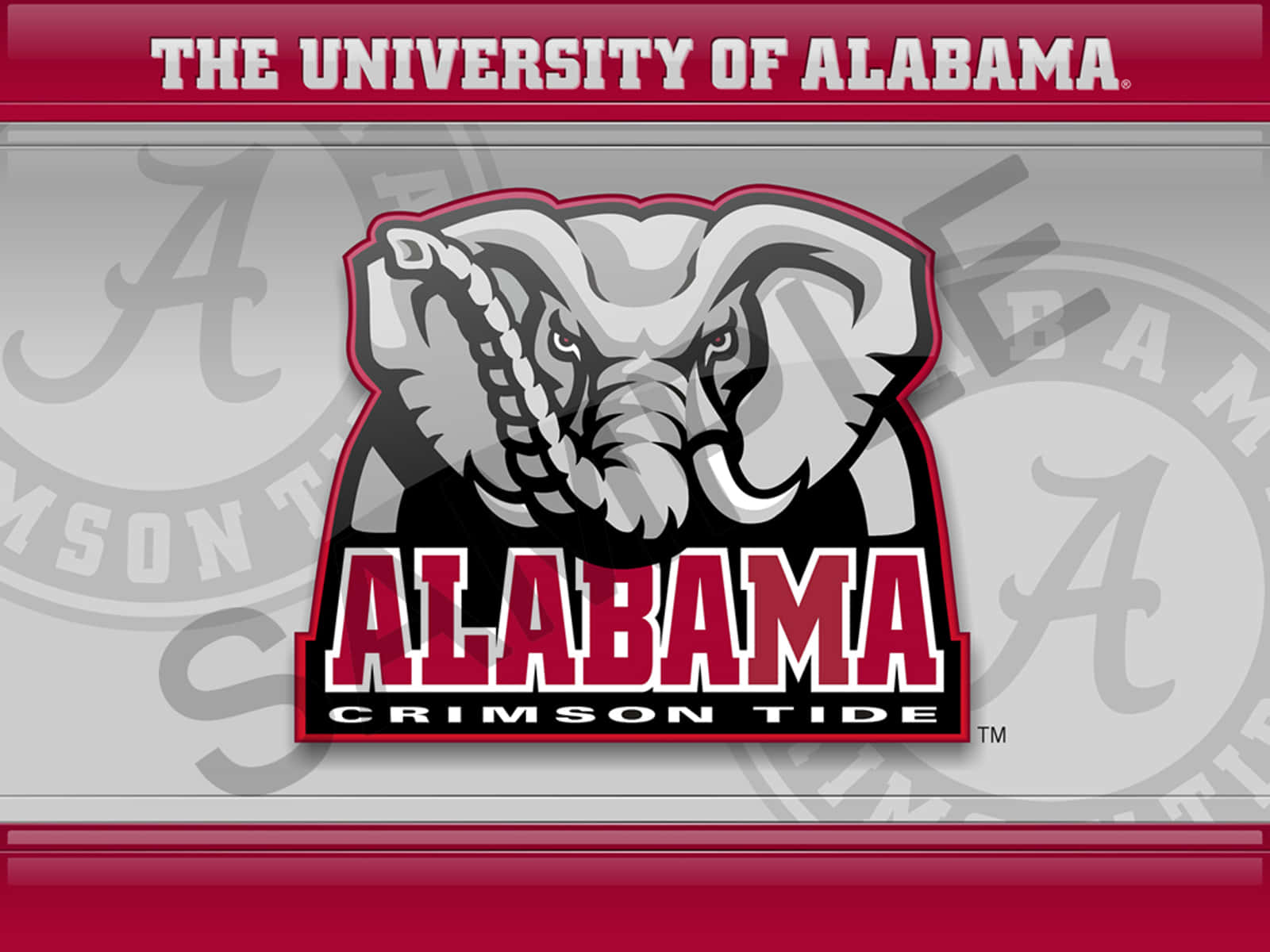 Alabama Football Logo 桌布 壁紙 — 大膽的深紅色和灰色阿拉巴馬紅潮隊大象標誌，帶有繩索和文字，背景為漸變色。