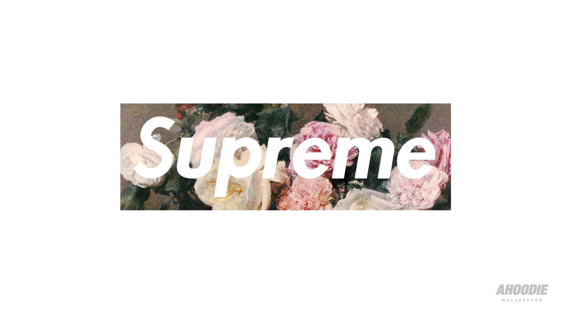 Cool Supreme 桌布 壁紙 — 大膽的白色 'Supreme' 標誌覆蓋在柔粉色和奶油色玫瑰與深綠色葉子的繪畫風格花束上。