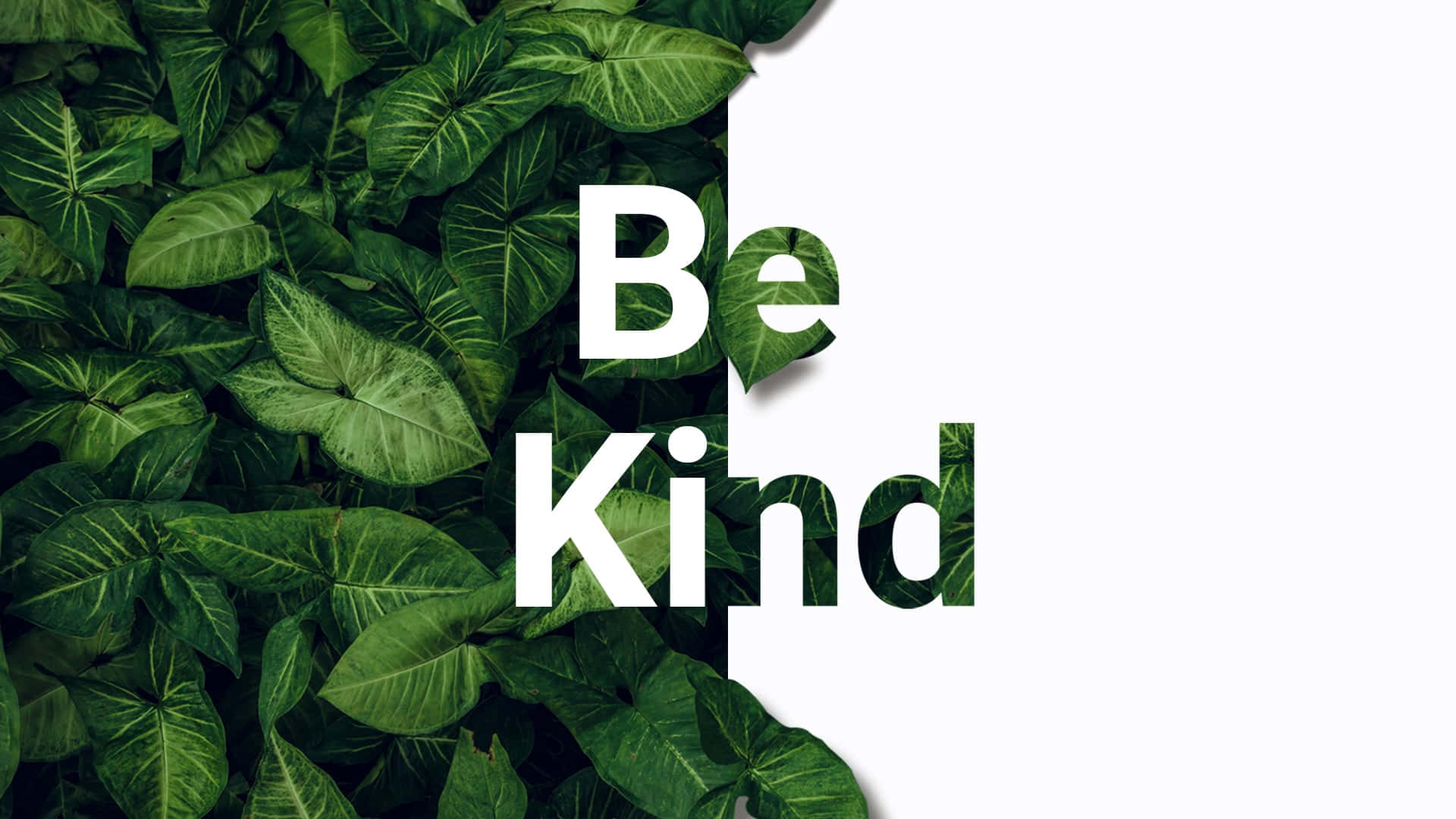 Be Kind 桌布 壁紙 — 大膽的白色文字「Be Kind」從茂密的綠色熱帶葉子中浮現，背景是純白色。