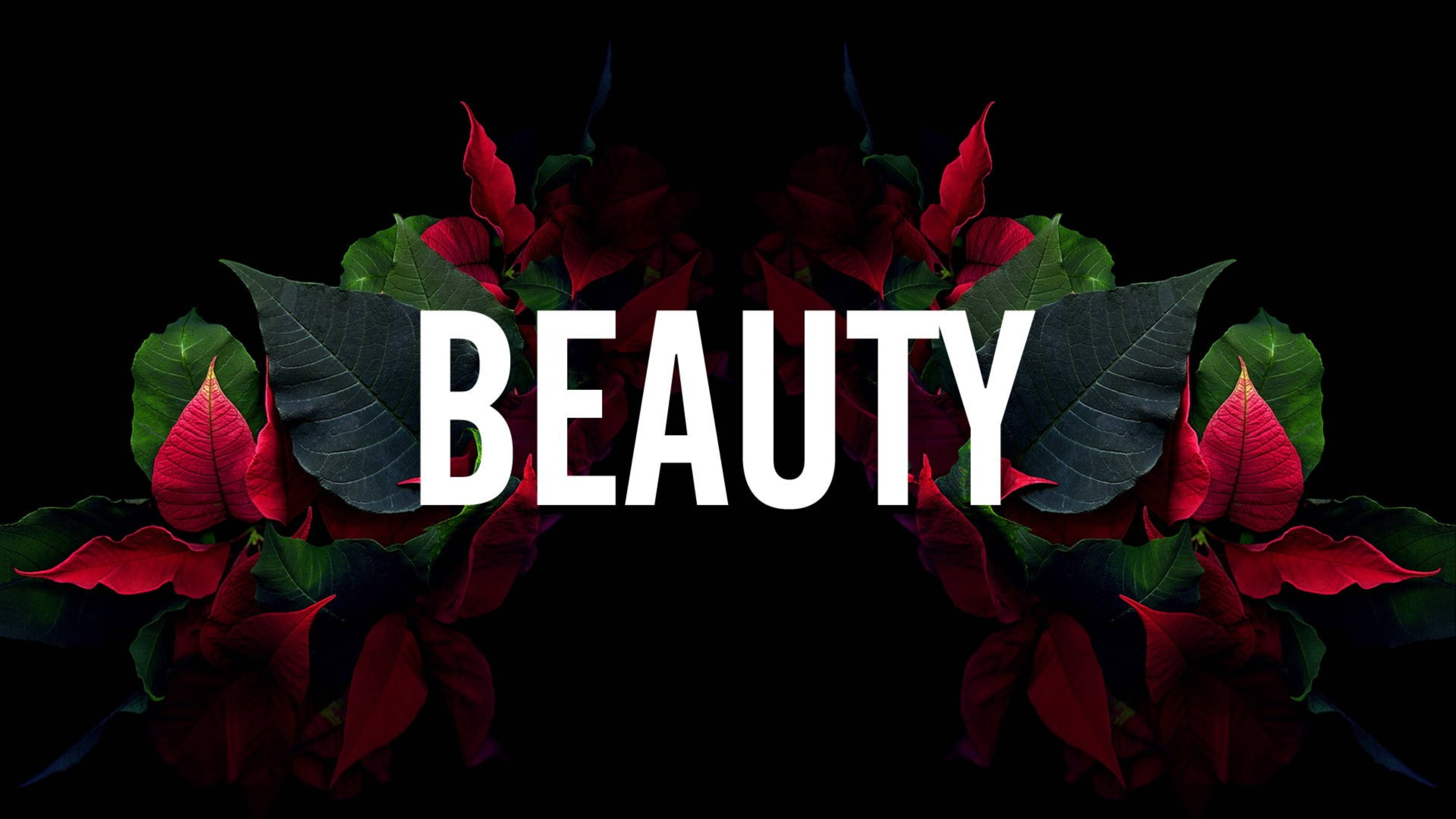 超炫動圖 桌布 壁紙 — 大膽的白色文字 beauty 被鮮紅色的聖誕紅花朵和深綠色的葉子框在 stark 黑色背景上。
