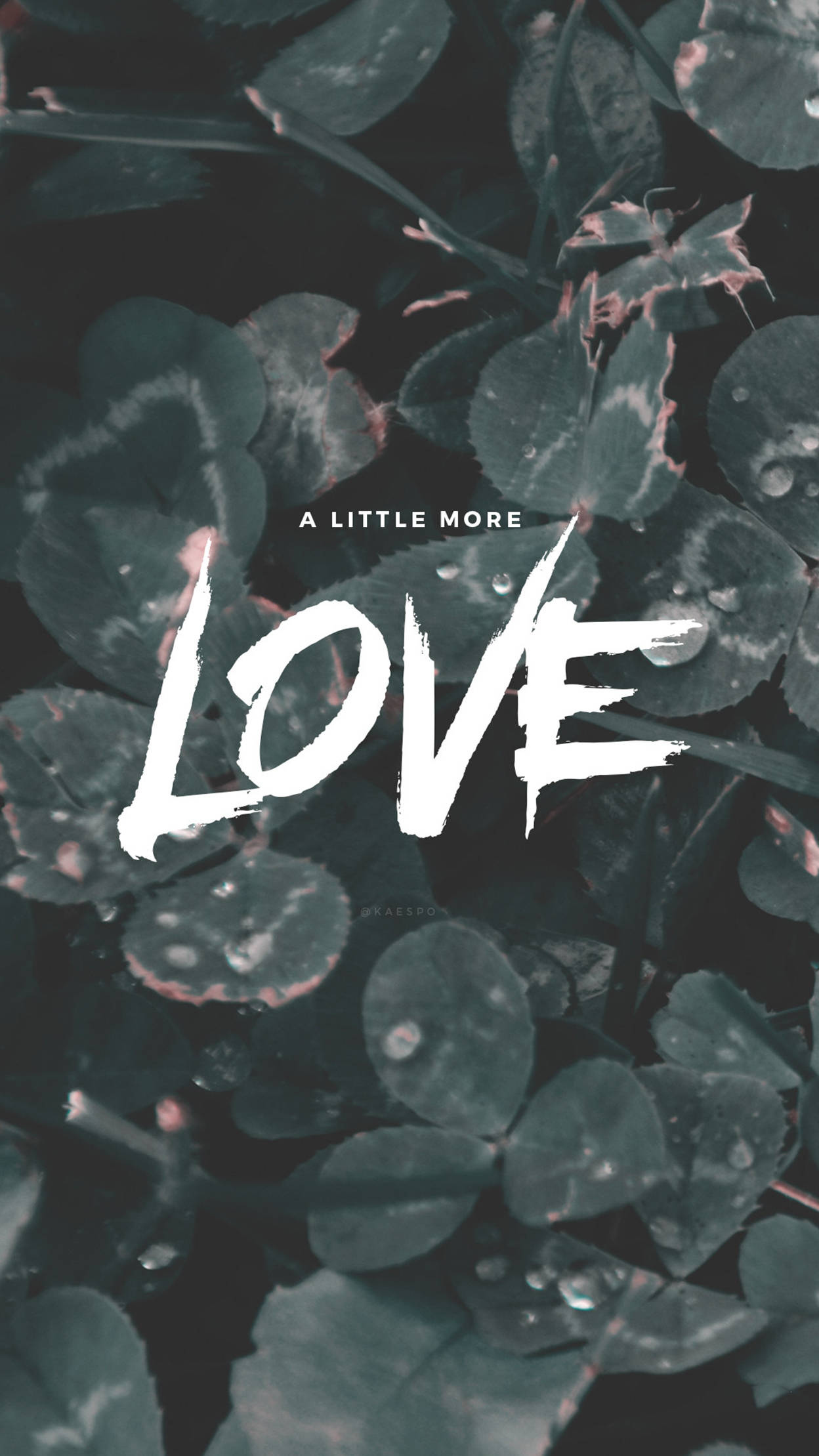 dope iPhone 桌布 壁紙 — 大膽的白色筆觸文字，寫著「LOVE」和「A LITTLE MORE」，覆蓋在帶有露水的深綠色三葉草葉片上。