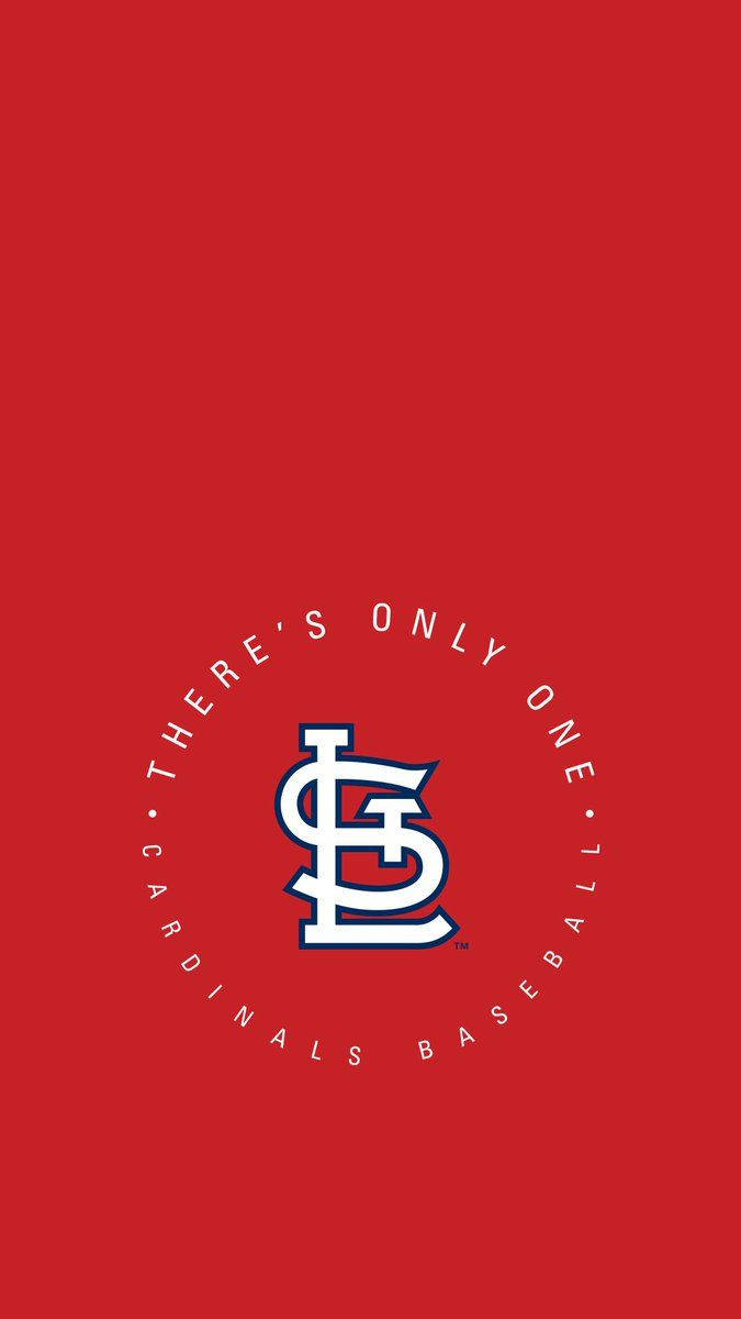 Cardinals 桌布 壁紙 — 大膽的白色聖路易紅雀隊標誌居中在鮮豔的紅色背景上，帶有圓形標語文字。