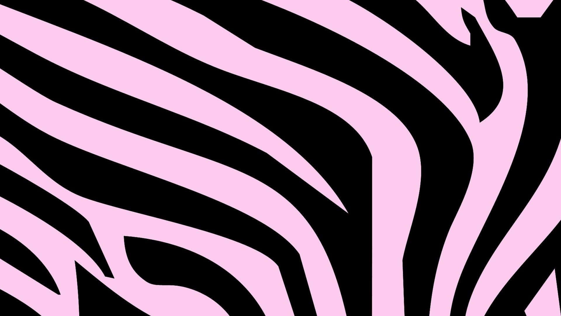Pink Zebra 桌布 壁紙 — 大膽的粉紅和黑色斑馬條紋圖案在圖形抽象設計中動態地流過畫面。