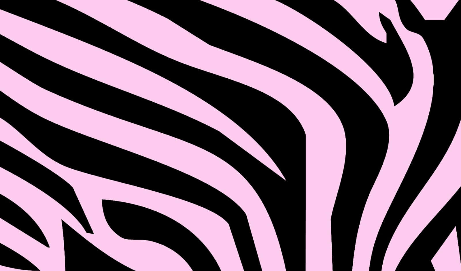 Zebra 桌布 壁紙 — 大膽的粉紅和黑色斑馬條紋圖案在圖形抽象設計中動態地流過畫面。