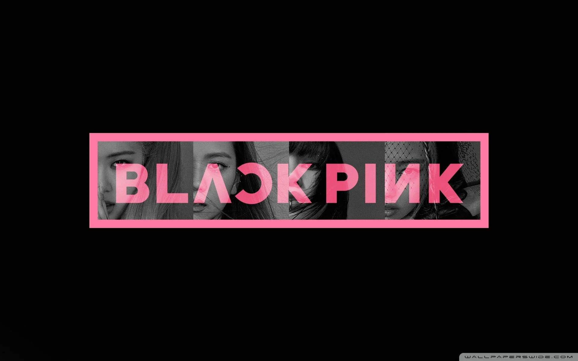 BLACKPINK 標誌 桌布 壁紙 — 大膽的粉紅色BLACKPINK標誌，帶有灰階面孔從黑色背景中探出。