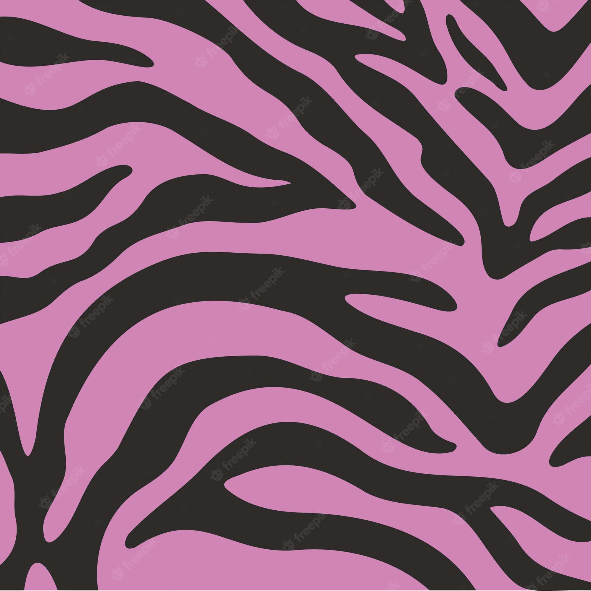 Pink Zebra 桌布 壁紙 — 大膽的粉紅色和黑色斑馬條紋圖案，帶有流暢的曲線，在無縫背景上。