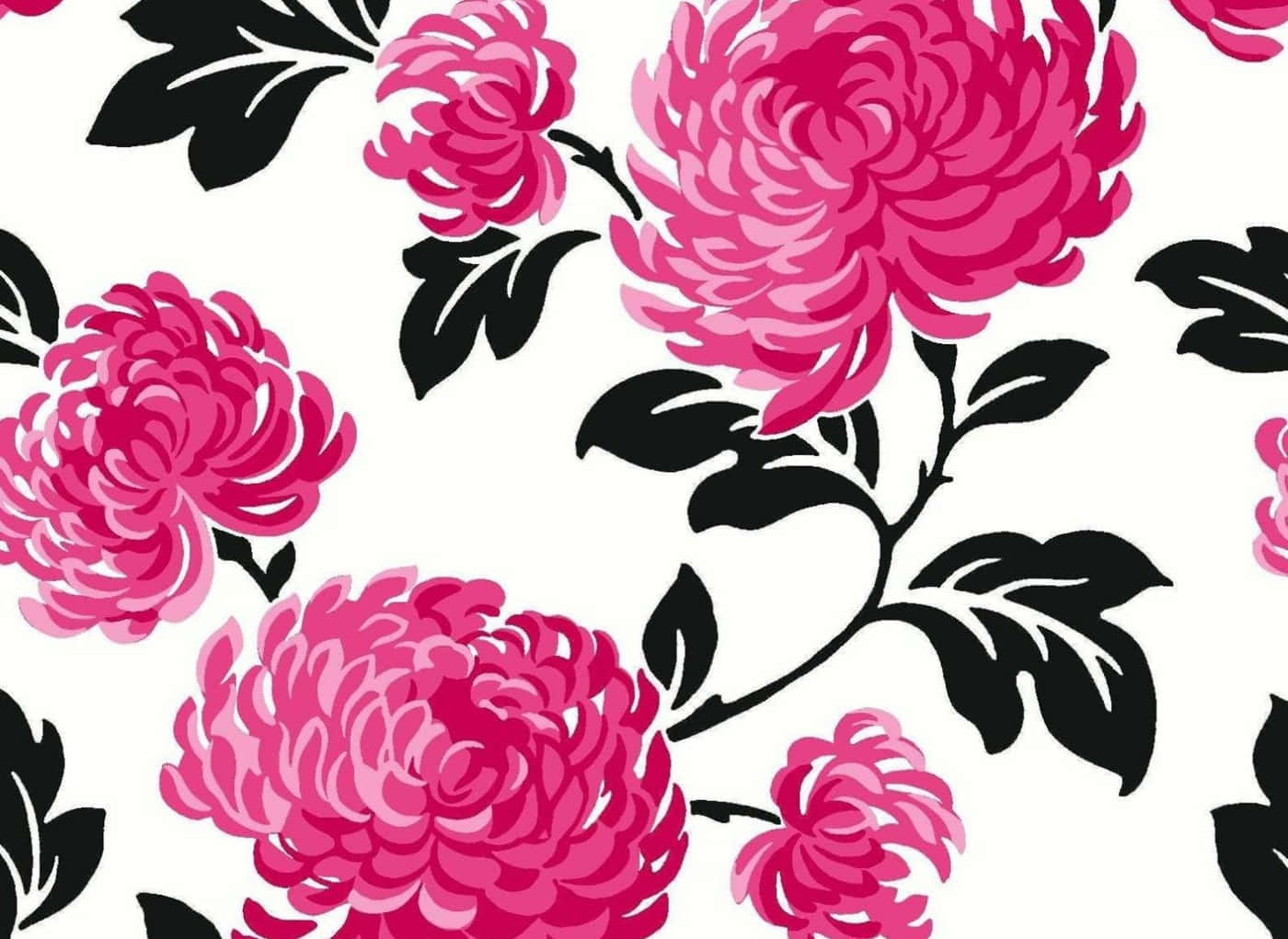 Pink And White Aesthetic 桌布 壁紙 — 大膽的粉紅色菊花搭配黑色葉子，在純白背景上以重複圖案盛開。