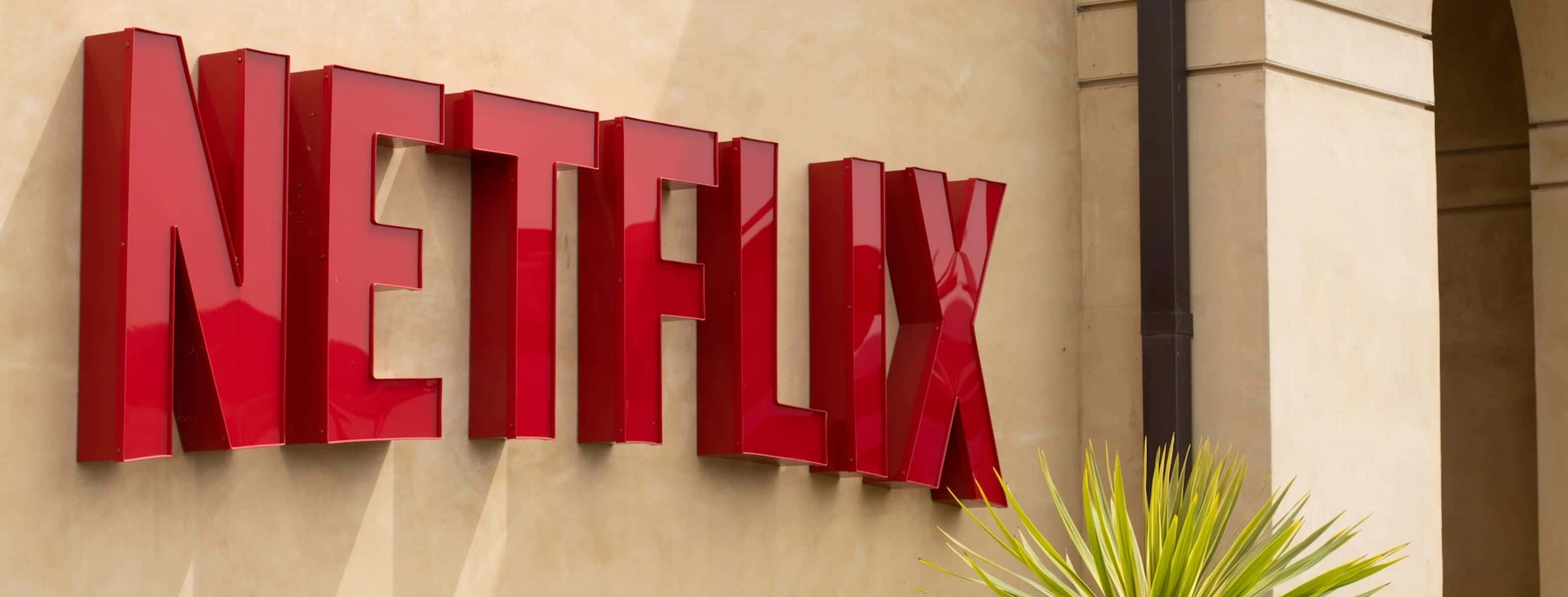 Netflix 桌布 壁紙 — 大膽的紅色 Netflix 標誌安裝在米色建築牆上，前景有綠色棕櫚葉。