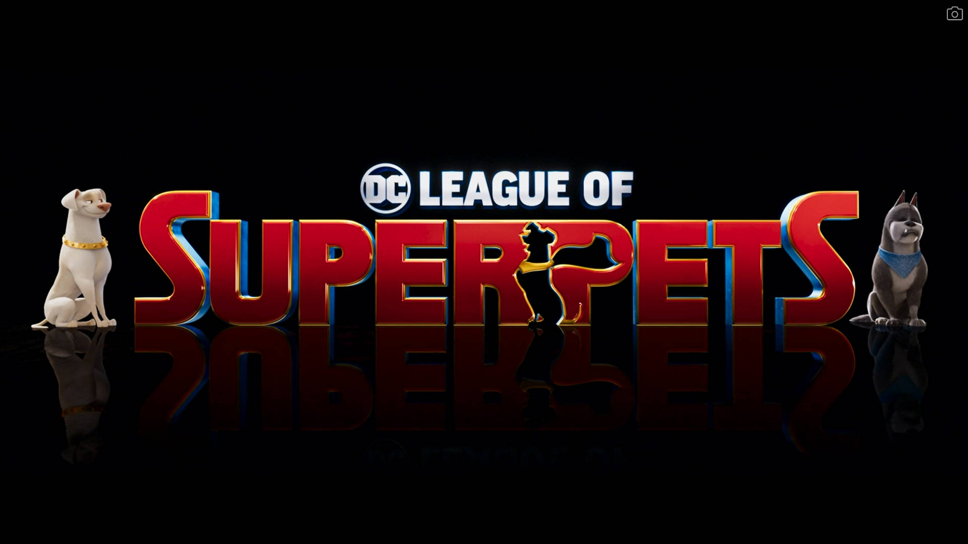 Dc 桌布 壁紙 — 大膽的紅色3D標題「DC League of Superpets」，三隻動畫寵物站在反光的黑色表面上。