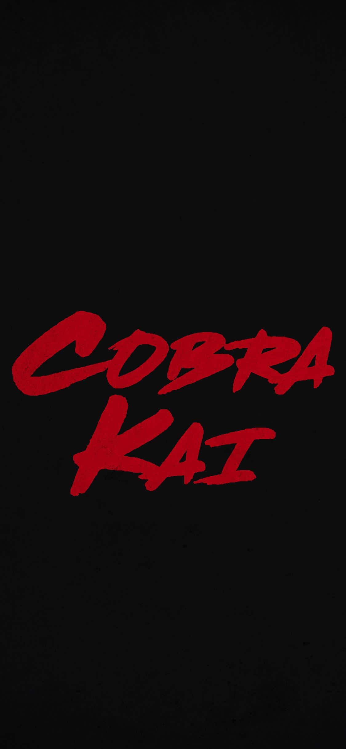 眼鏡蛇道館 桌布 壁紙 — 大膽的紅色塗鴉風格「Cobra Kai」文字在紋理黑色背景上脫穎而出。
