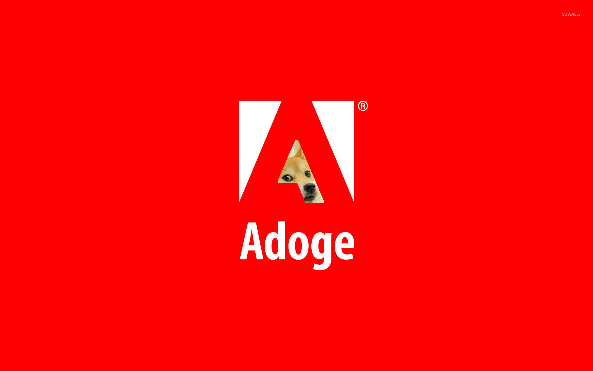 Doge 桌布 壁紙 — 大膽的紅色背景上有一個白色風格化的「A」標誌，一隻狗的臉從中探出，下方用白色寫著「Adoge」這個詞。