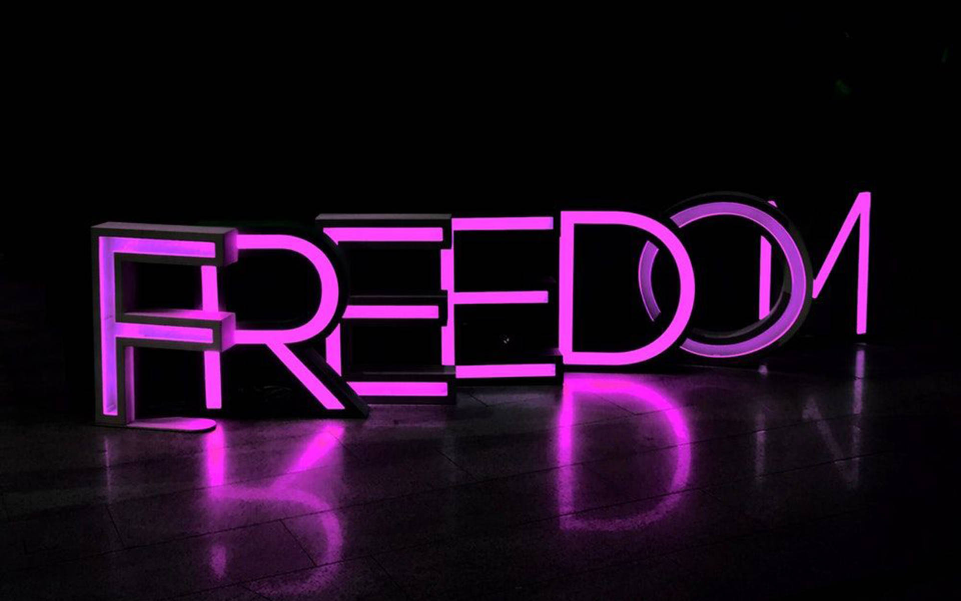 霓虹紫美學 桌布 壁紙 — 大膽的紫色霓虹燈字母拼出FREEDOM，在黑色背景上發光，並在拋光地板上反射。