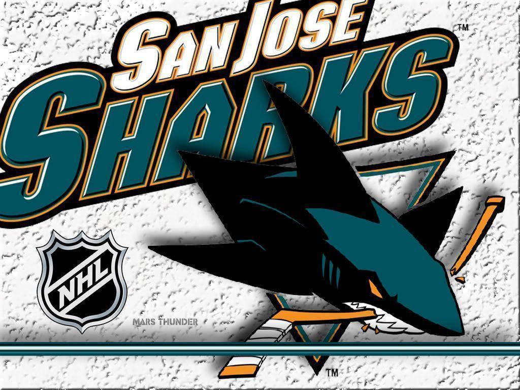 sharks 桌布 壁紙 — 大膽的聖荷西鯊魚隊標誌，帶有青黑色鯊魚吉祥物在紋理白色牆壁上拿著曲棍球棒。