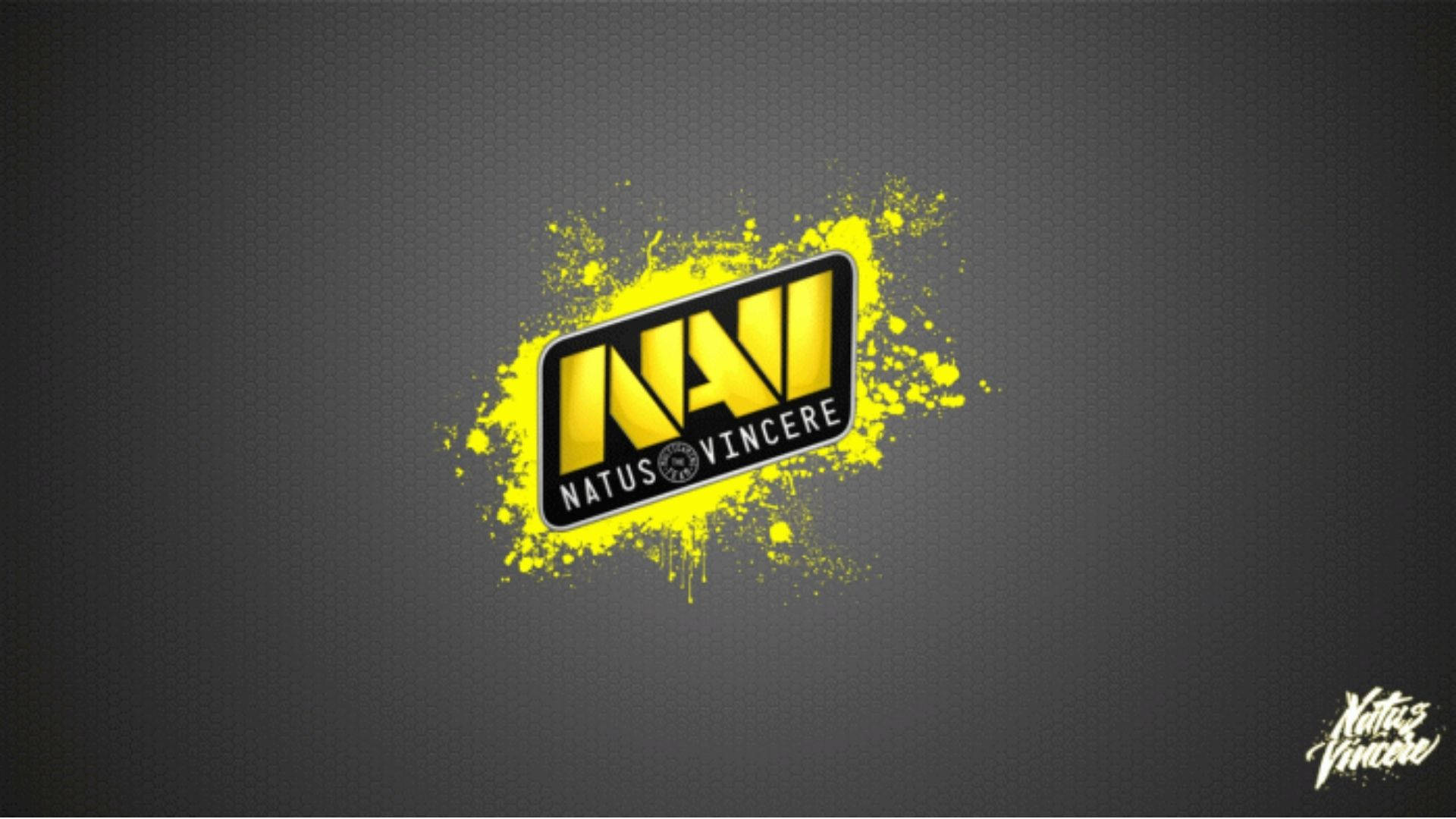 Natus Vincere 桌布 壁紙 — 大膽的黃色Natus Vincere標誌在深灰色紋理背景上濺滿油漆。