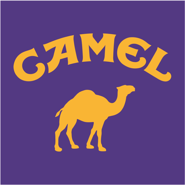 駱駝 桌布 壁紙 — 大膽的黃色駱駝剪影和拱形「CAMEL」文字在純紫色背景上脫穎而出。