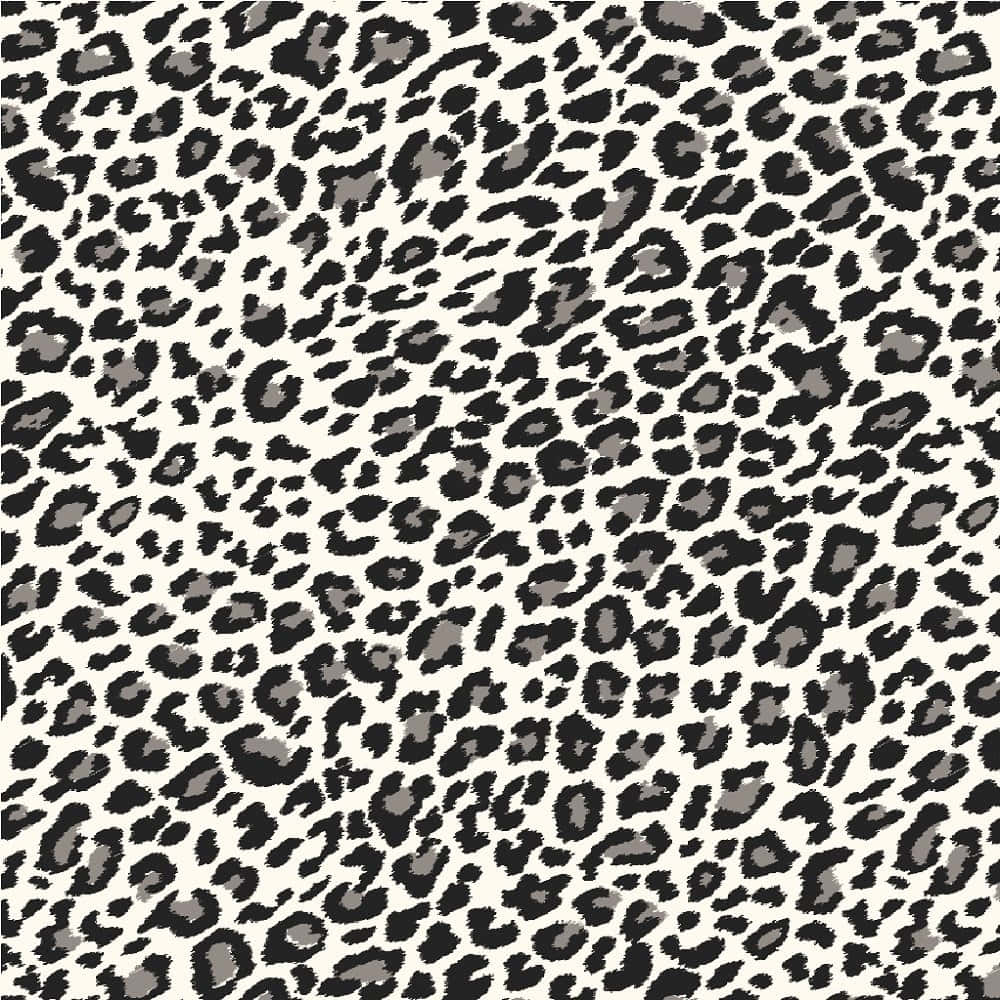 Black And White Animal Print 桌布 壁紙 — 大膽的黑、灰、白色豹紋圖案，帶有紋理斑點，背景為奶油色。