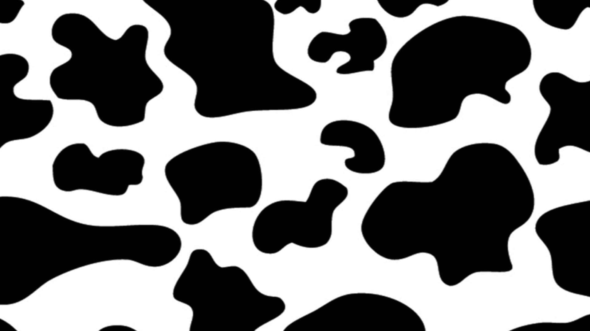 乳牛紋 桌布 壁紙 — 大膽的黑白乳牛印花圖案，在乾淨的背景上呈現不規則的有機形狀。