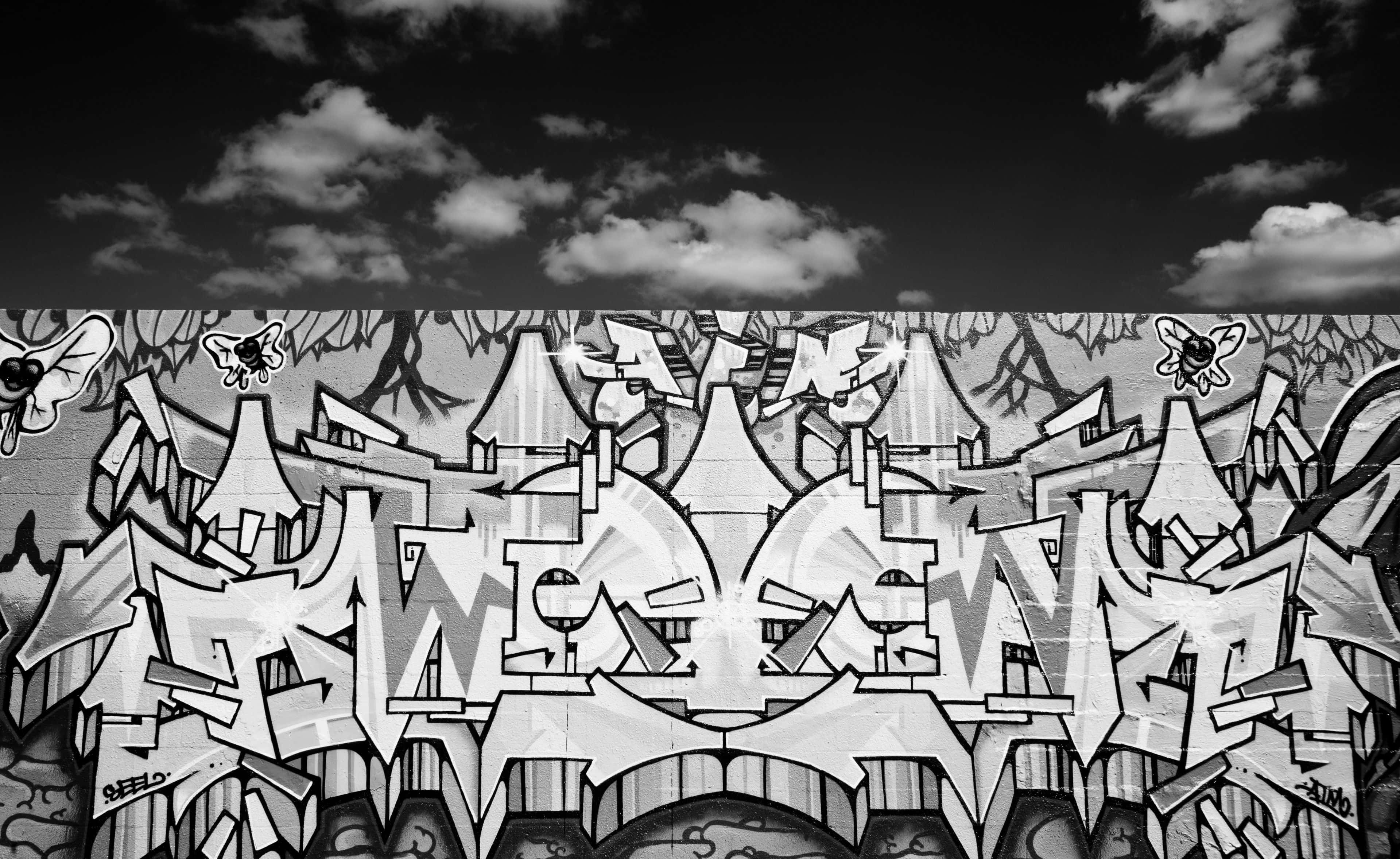 Black And White Graffiti 桌布 壁紙 — 大膽的黑白塗鴉藝術，帶有風格化的字母和蝴蝶圖案，背景為多雲的天空。