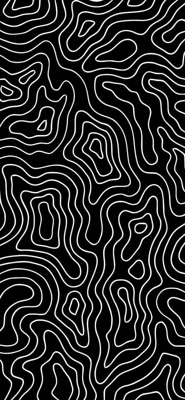 Trippy Aesthetic 桌布 壁紙 — 大膽的黑白抽象圖案，流動的波浪線條類似地形等高線。
