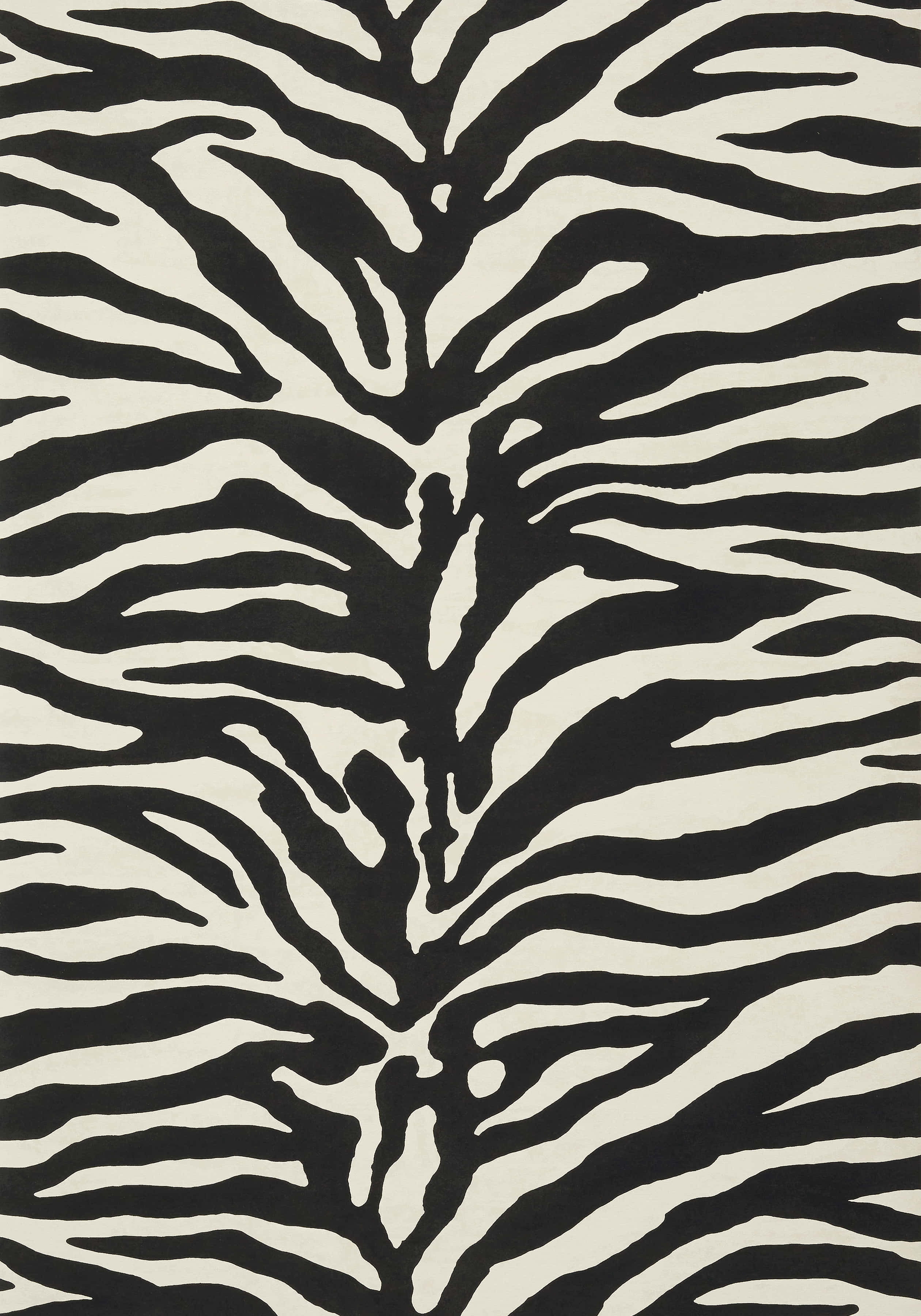 Black And White Animal Print 桌布 壁紙 — 大膽的黑白斑馬條紋圖案，在紋理表面上帶有流暢的有機曲線。