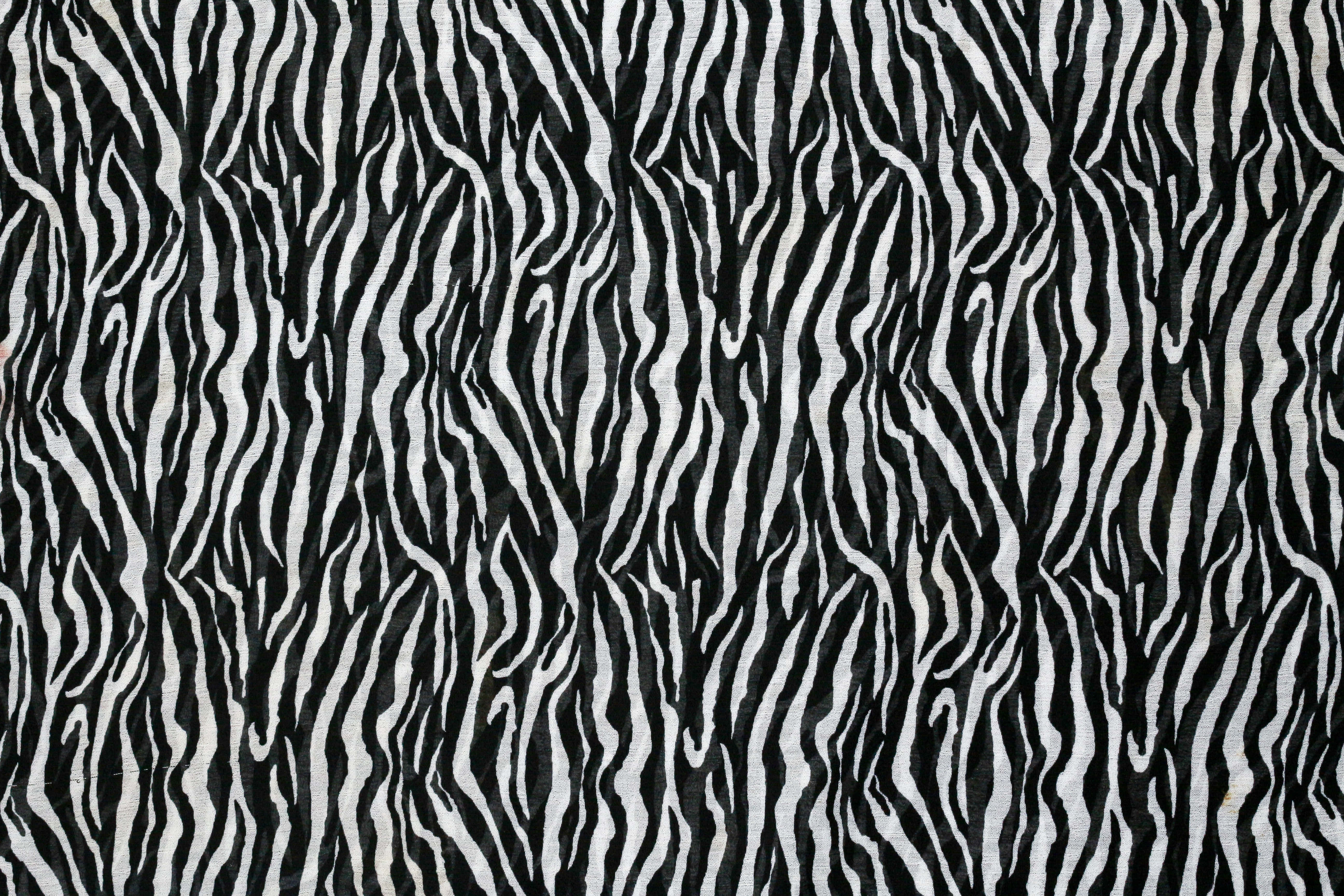 Black And White Animal Print 桌布 壁紙 — 大膽的黑白斑馬條紋圖案，帶有紋理織物編織和自然不規則線條。