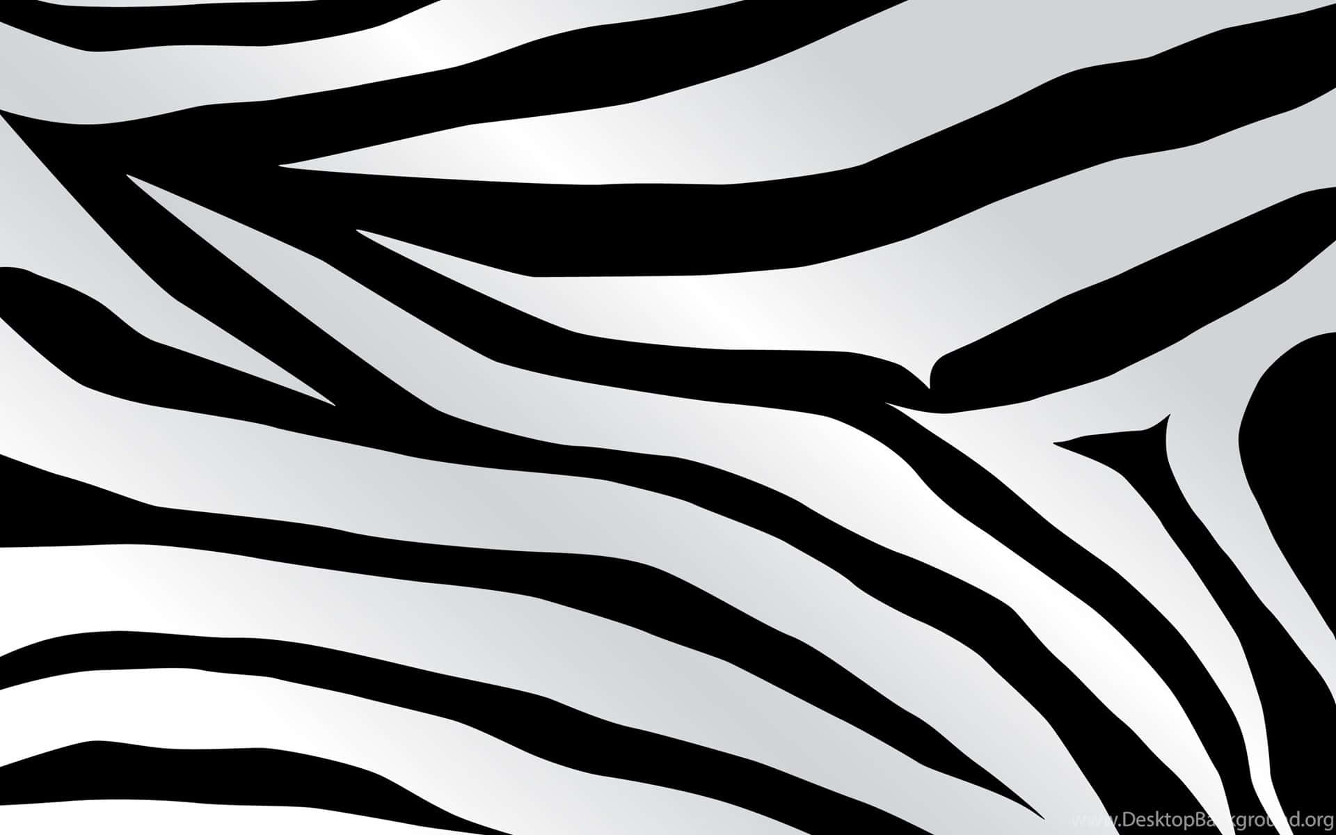 Black And White Striped 桌布 壁紙 — 大膽的黑白斑馬條紋圖案，搭配平滑漸層銀色背景。