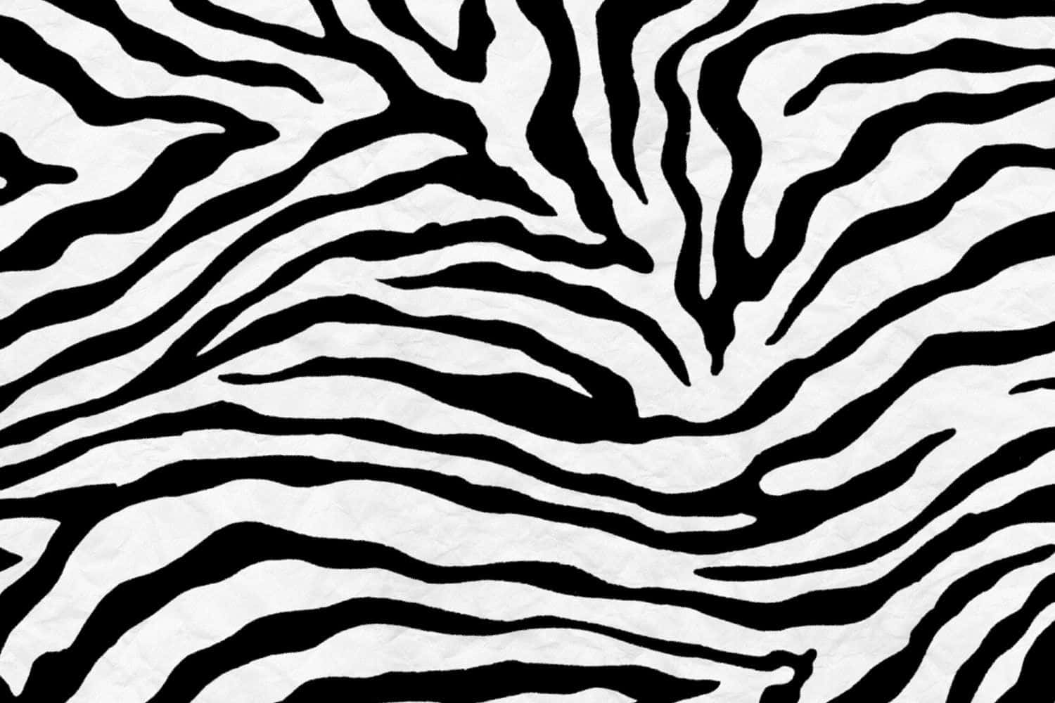 Zebra 桌布 壁紙 — 大膽的黑白斑馬條紋圖案以有機曲線動態地流過畫面。