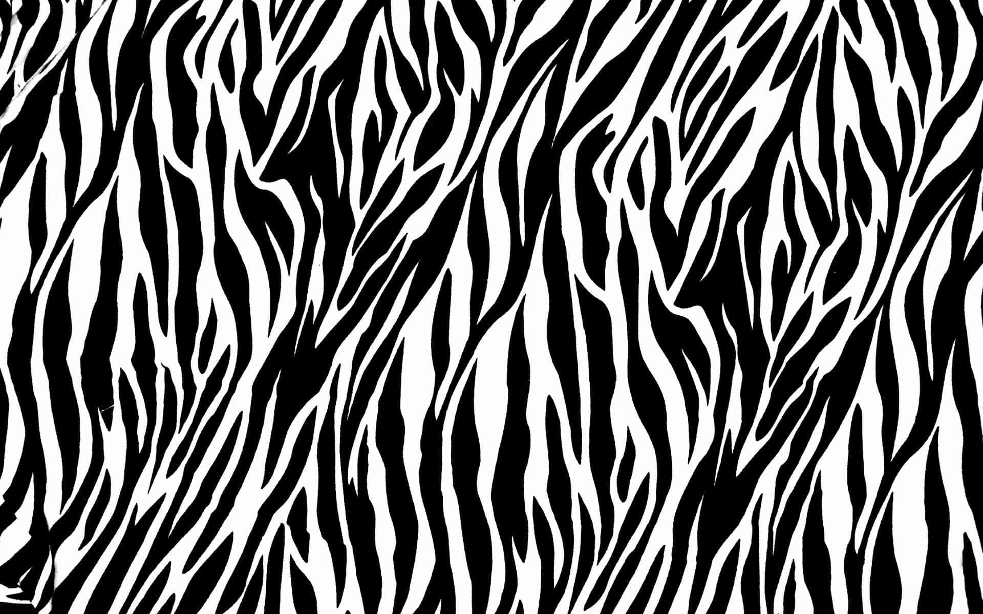 Zebra 桌布 壁紙 — 大膽的黑白斑馬條紋圖案以無縫重複設計填滿畫面。