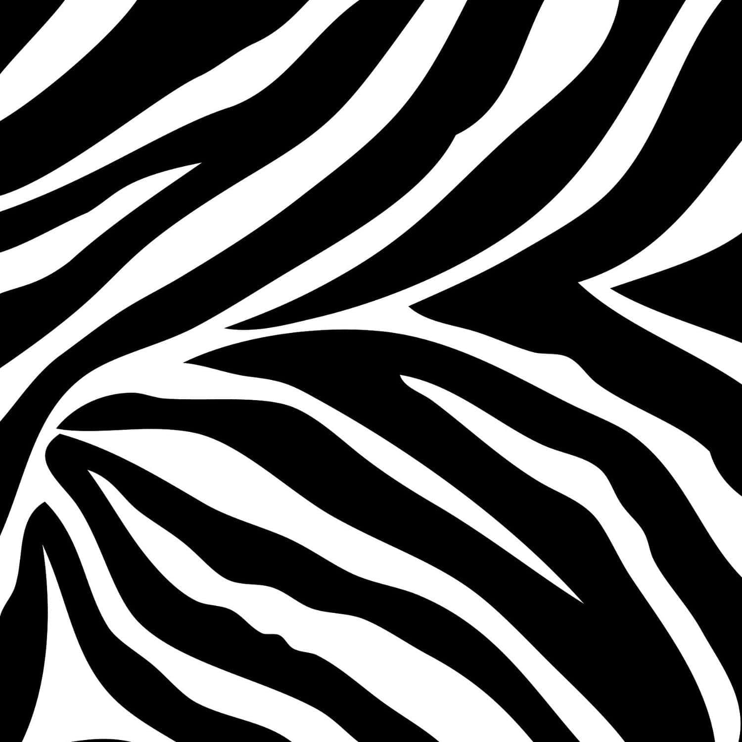 Black And White Animal Print 桌布 壁紙 — 大膽的黑白斑馬條紋圖案動態地流過整個畫面。