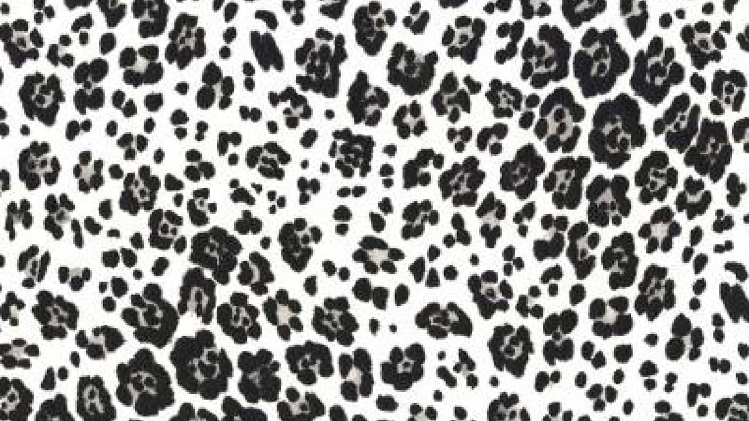 White Leopard Print 桌布 壁紙 — 大膽的黑白豹紋圖案，在潔白背景上帶有不規則斑點。